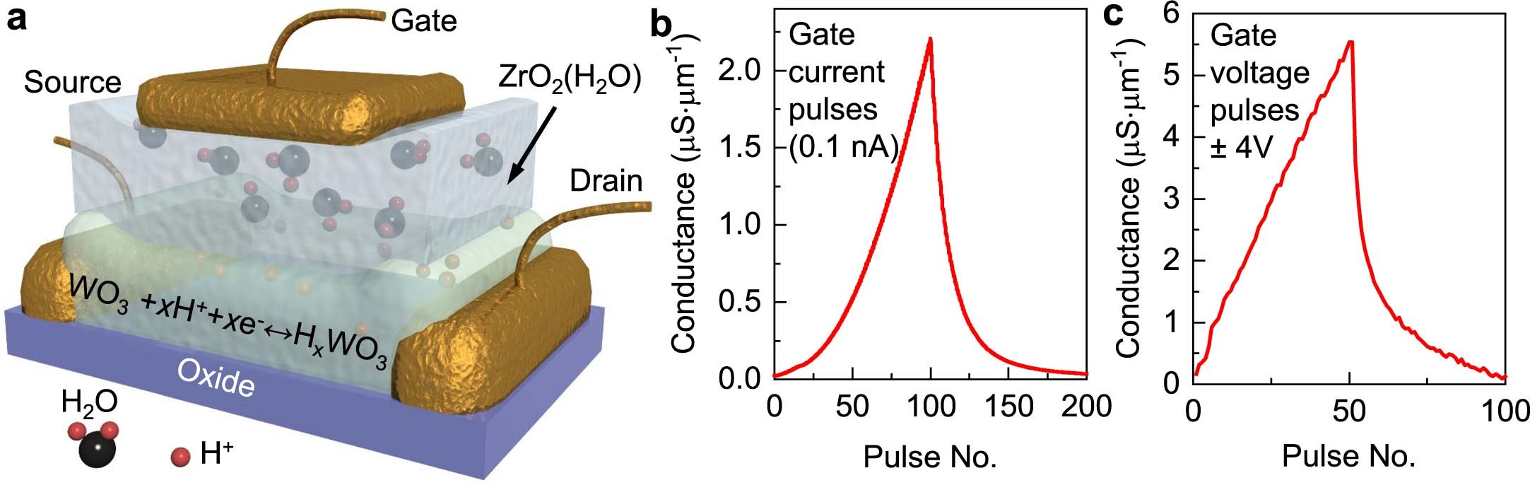 Extended Data Fig. 2