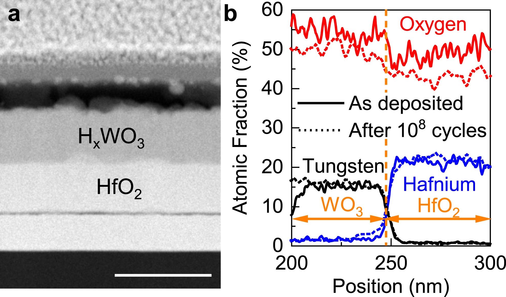 Extended Data Fig. 6
