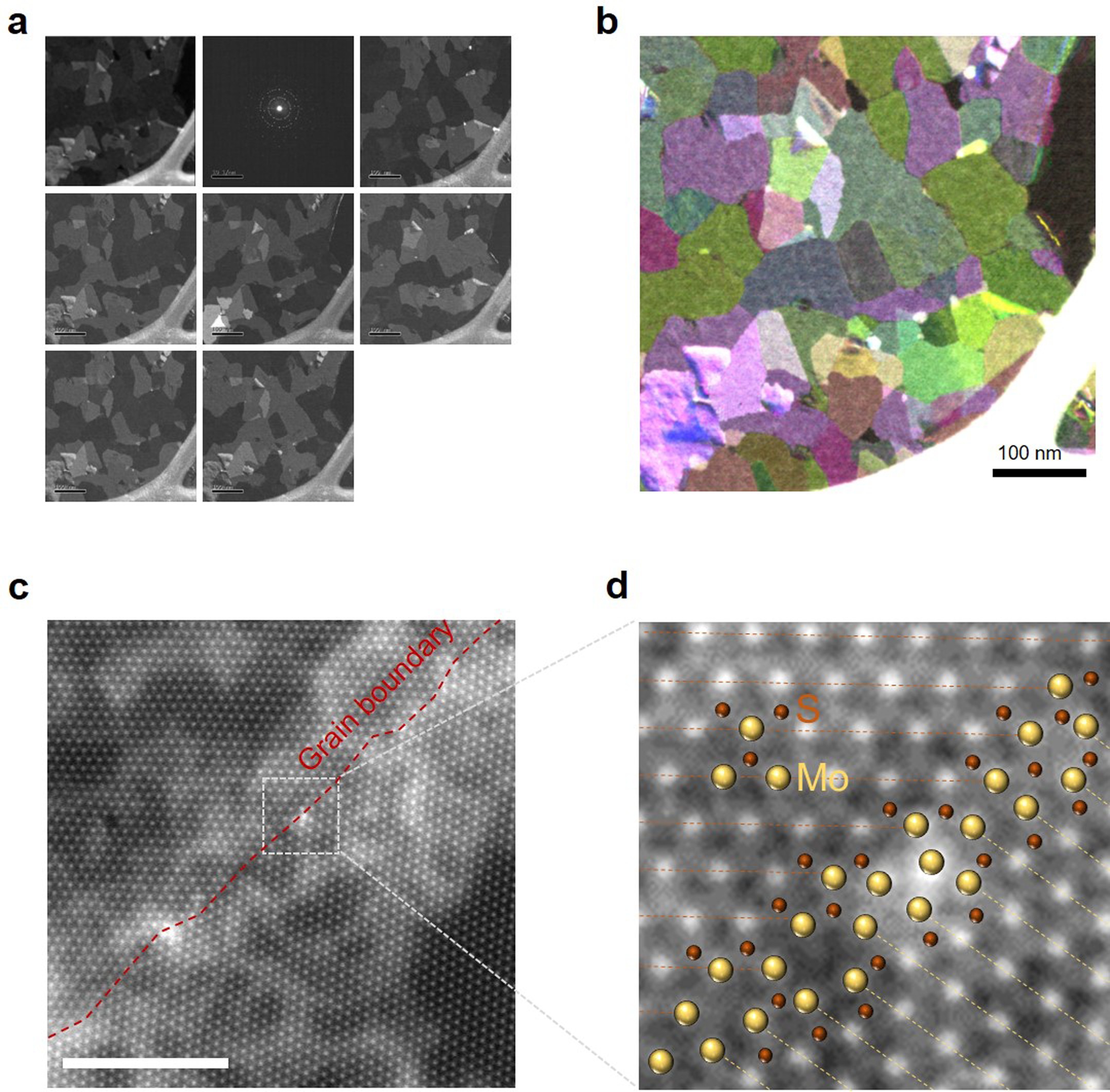 Extended Data Fig. 3