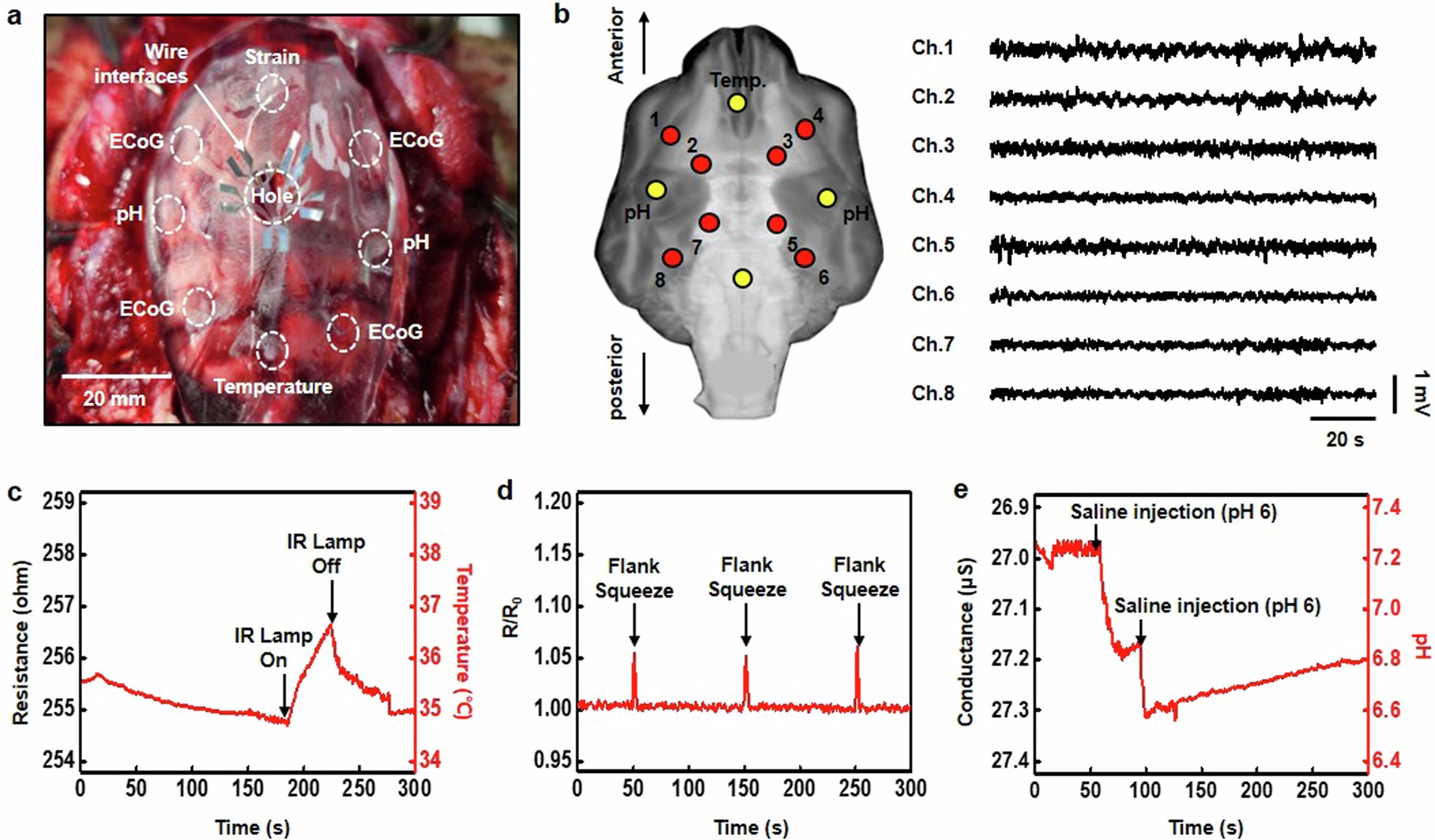 Extended Data Fig. 1: In vivo multimodal monitoring of brain activities.