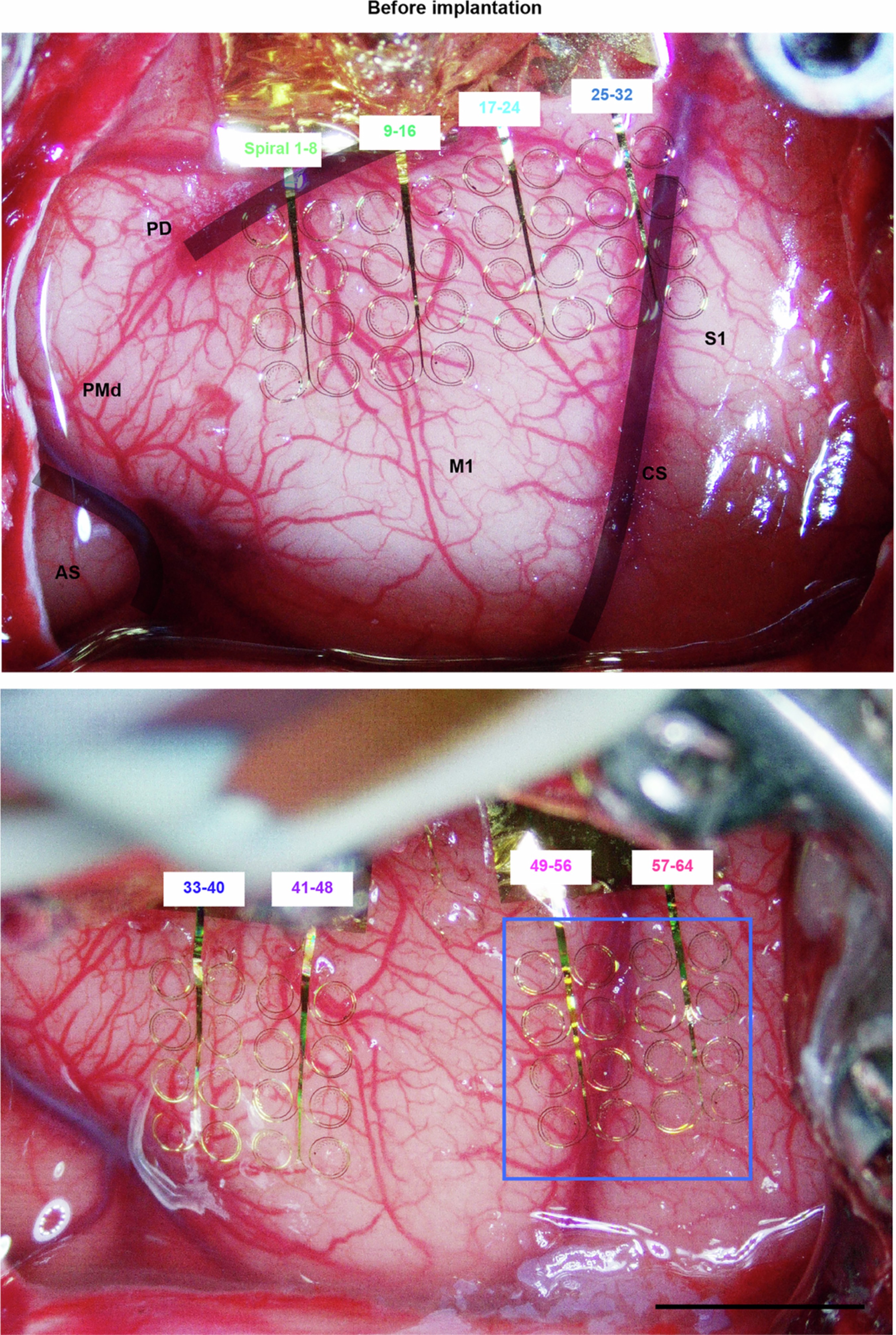 Extended Data Fig. 8