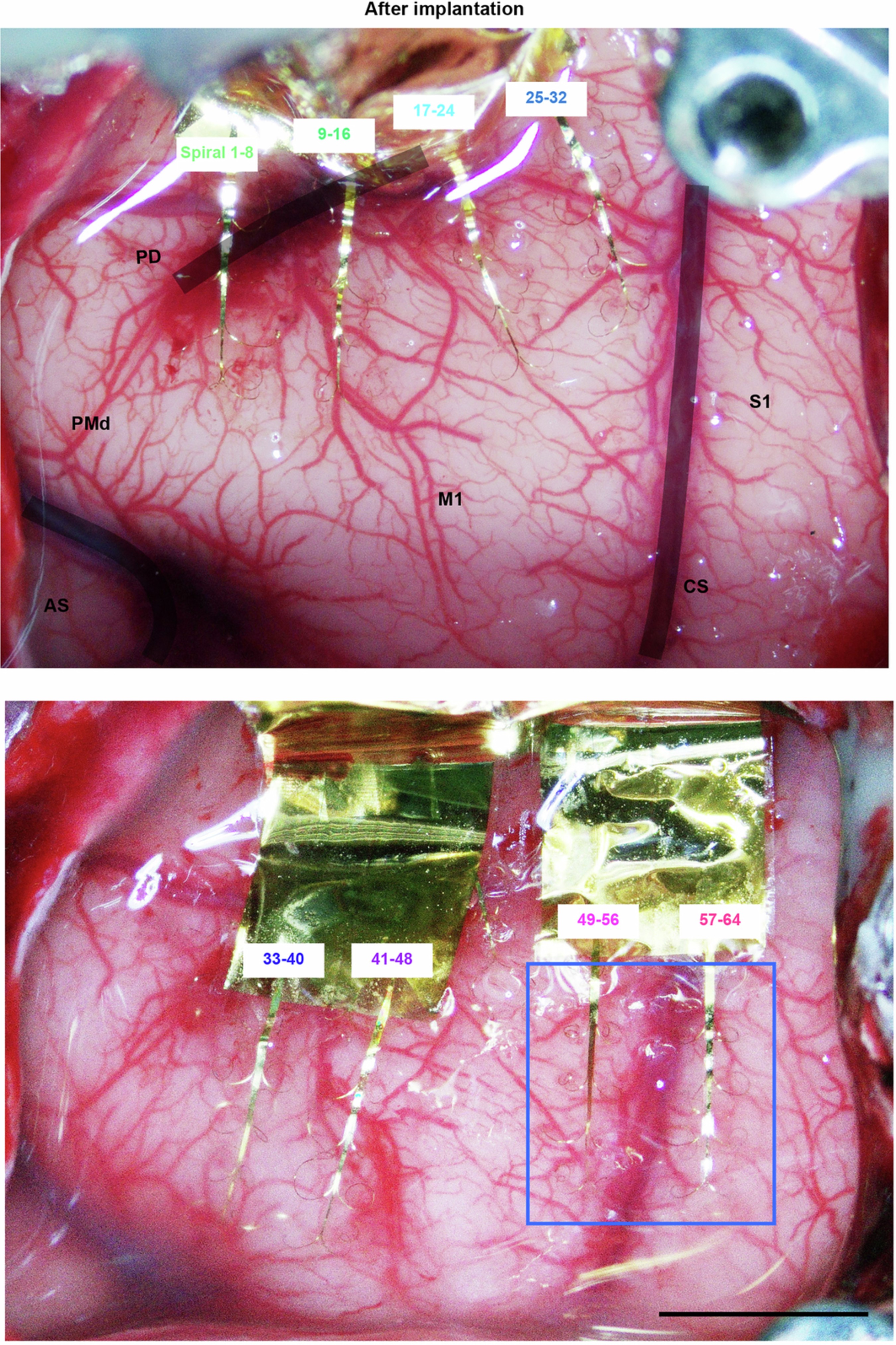 Extended Data Fig. 9