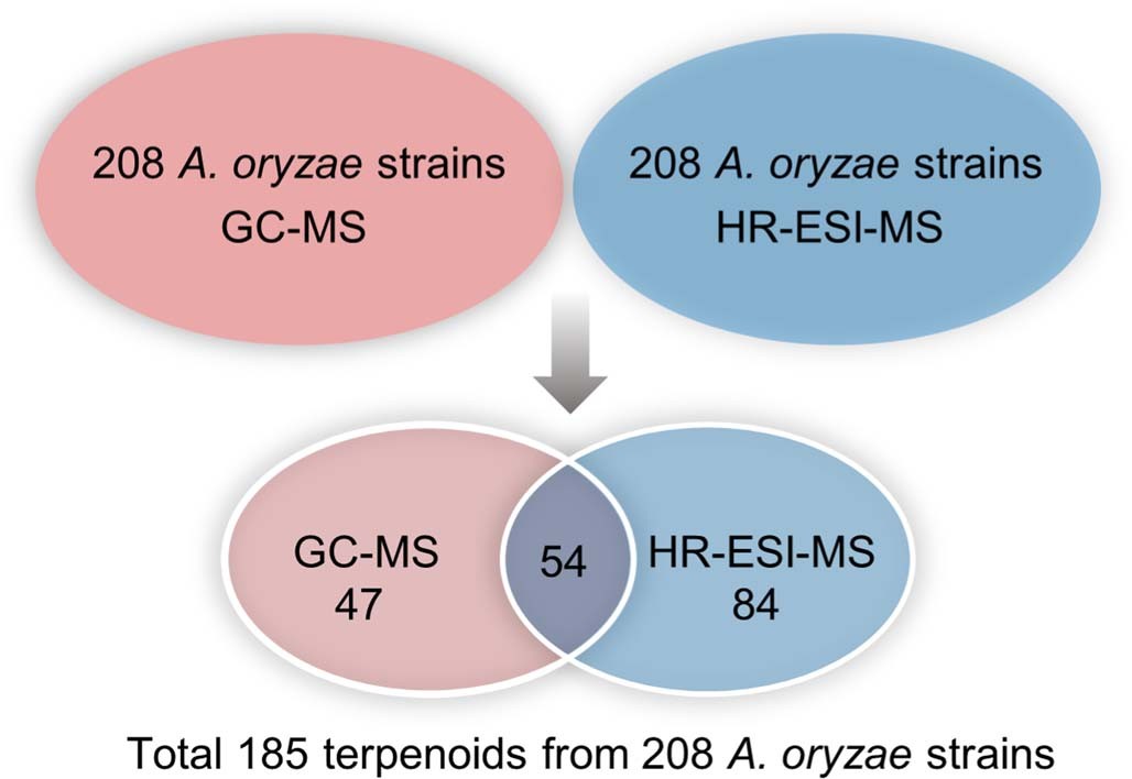 Extended Data Fig. 4