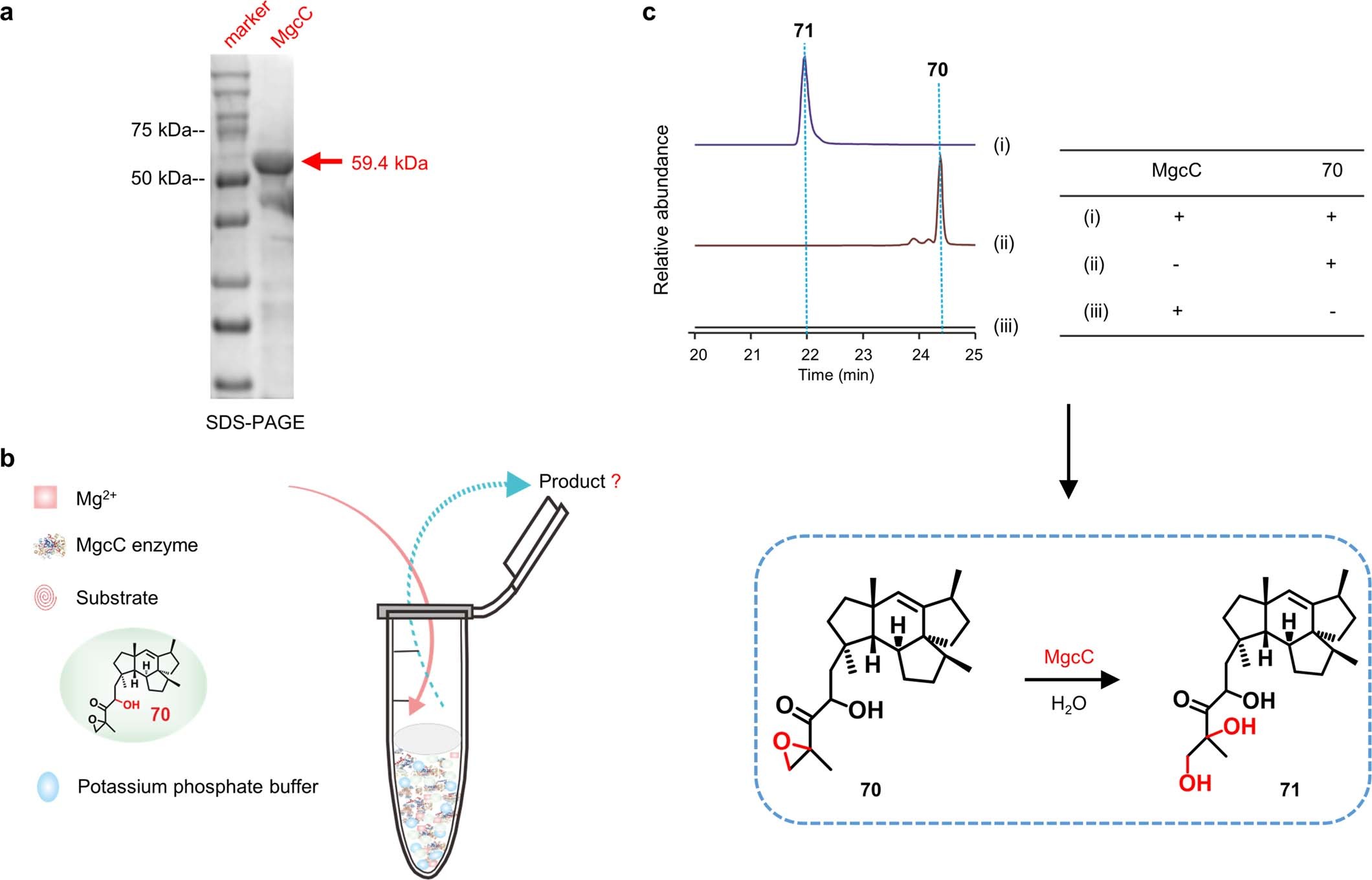 Extended Data Fig. 7