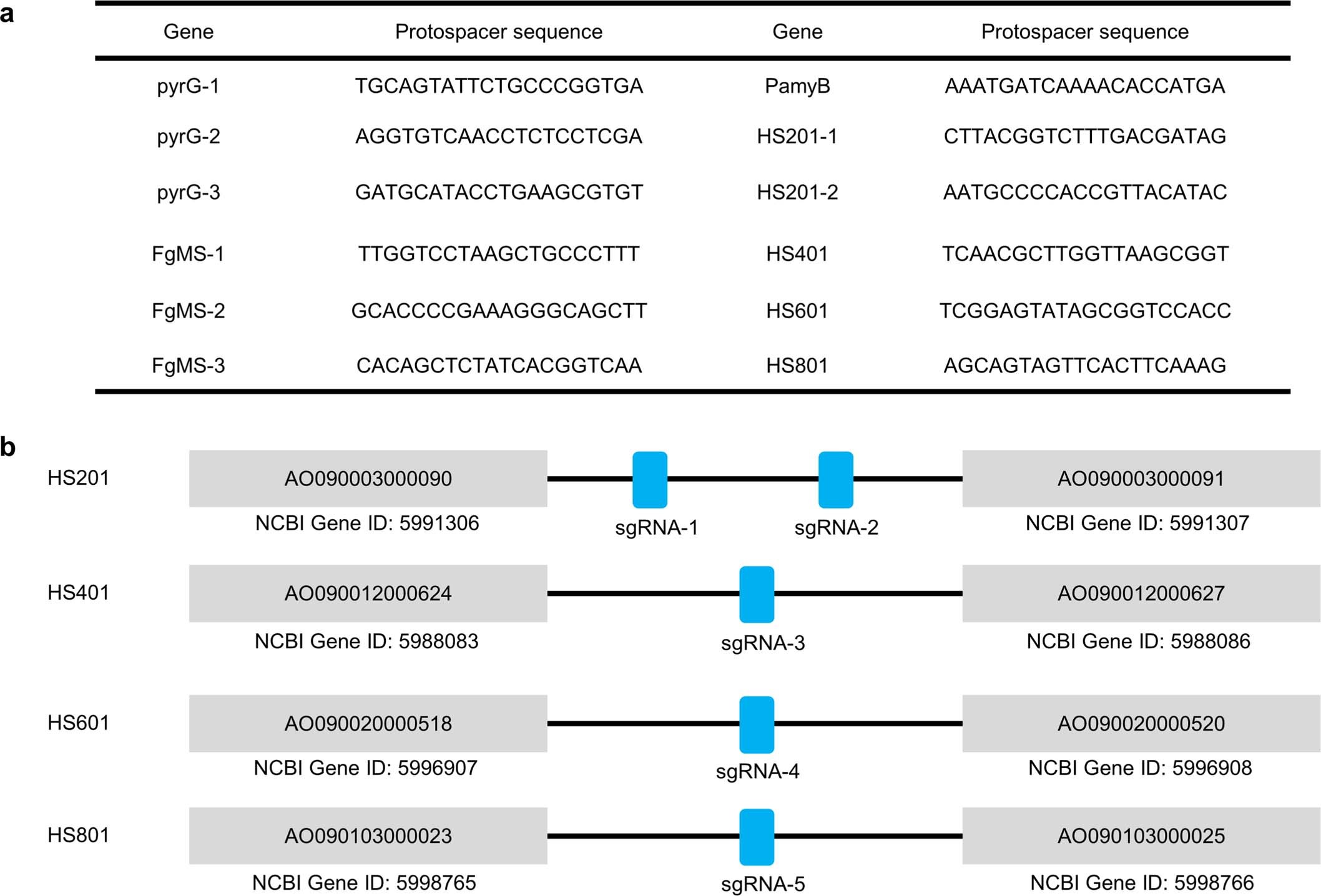 Extended Data Fig. 10: Protospacers used in this study.