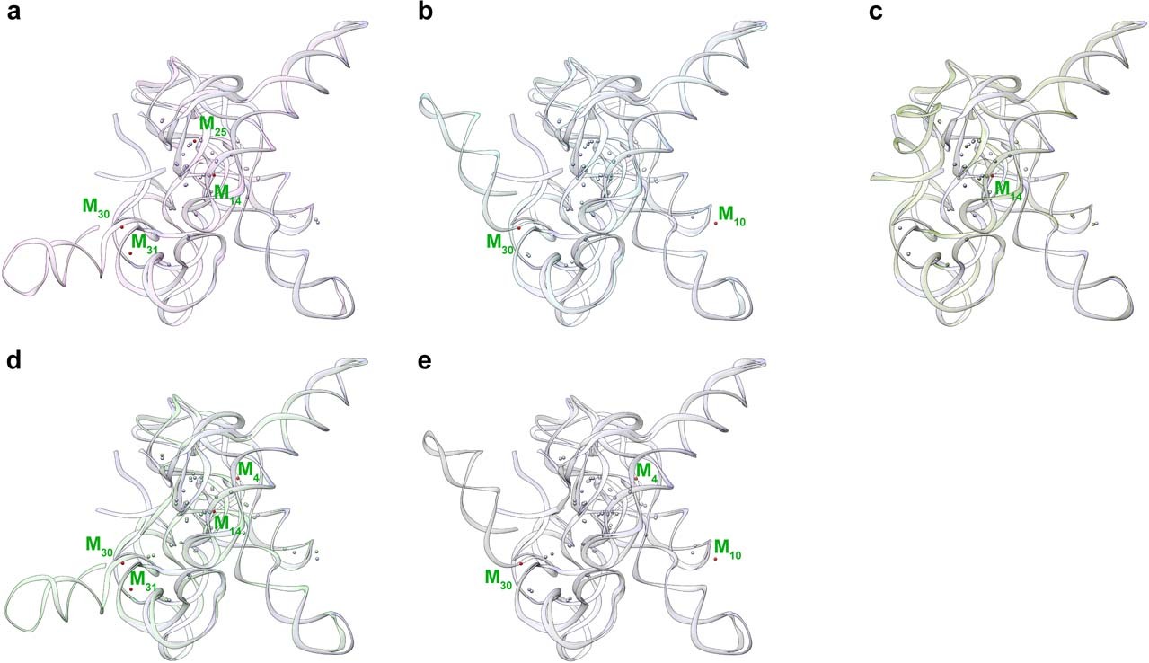 Extended Data Fig. 9