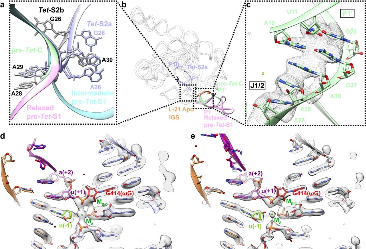 Extended Data Fig. 2