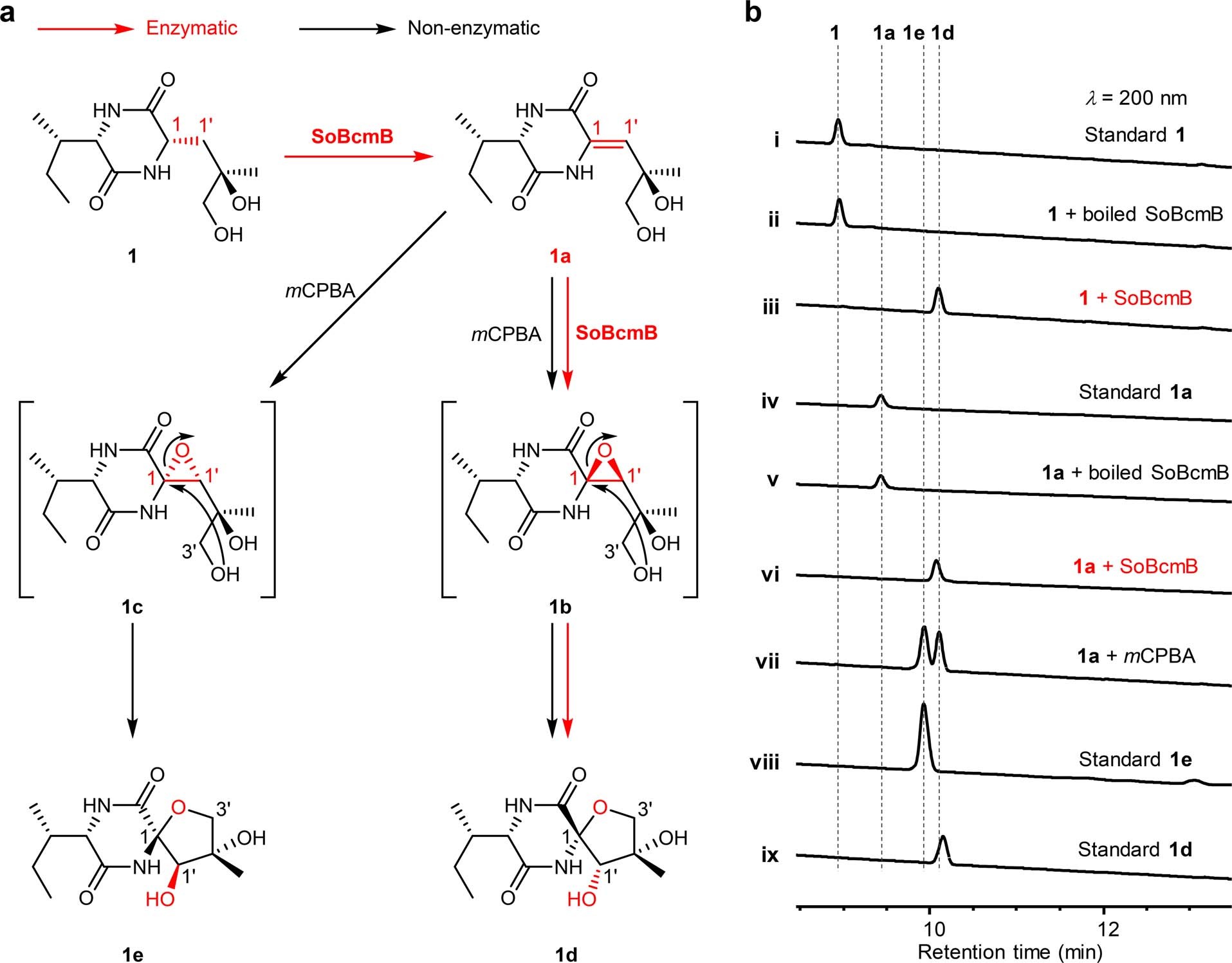 Extended Data Fig. 1: Enzymatic and chemical studies of the five-membered THF ring formation.
