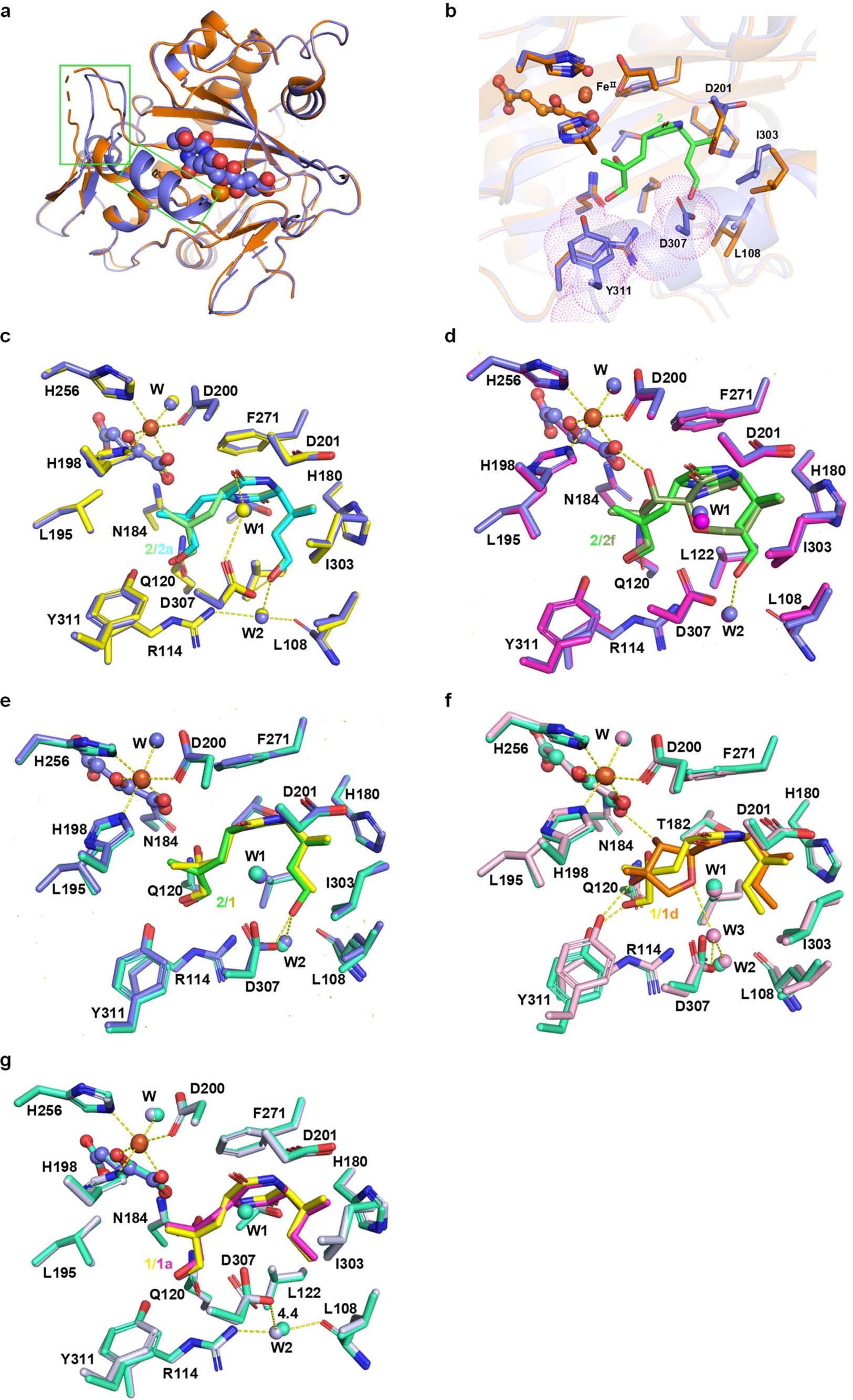 Extended Data Fig. 4: The comparison of SoBcmB complex structures.