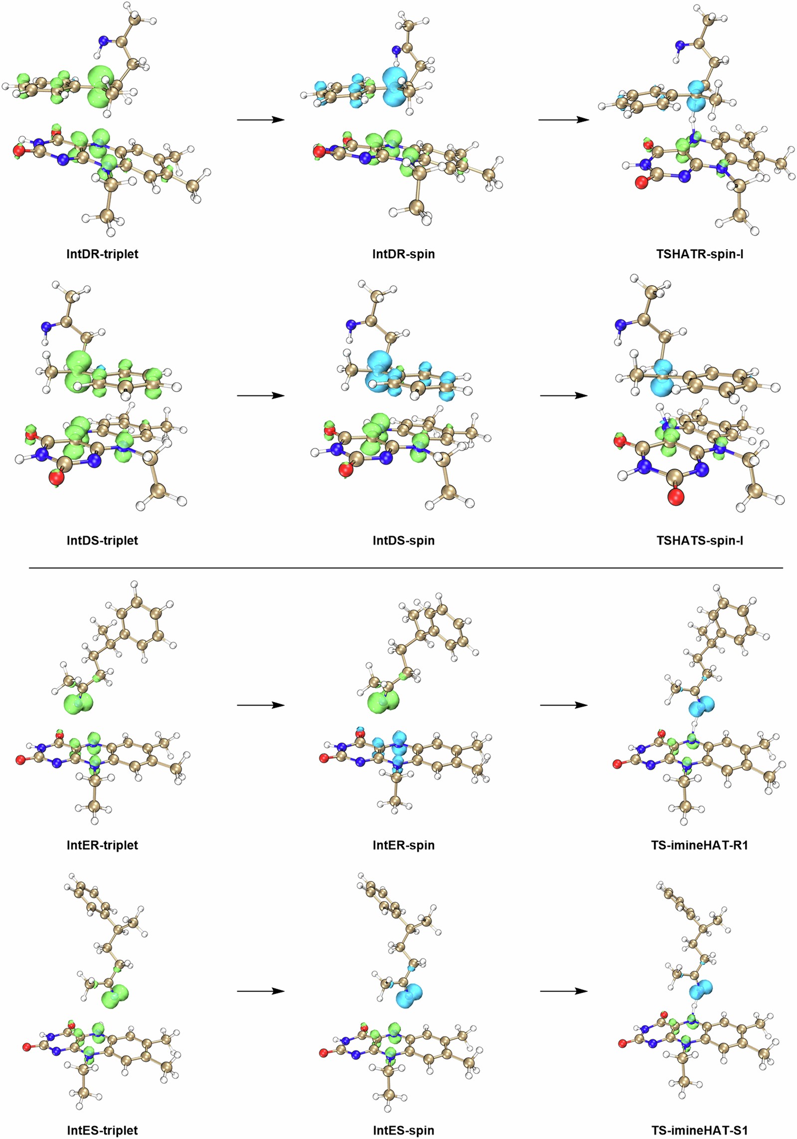 Extended Data Fig. 4: Comprehensive spin density analysis covering intermediates and HAT transition states.