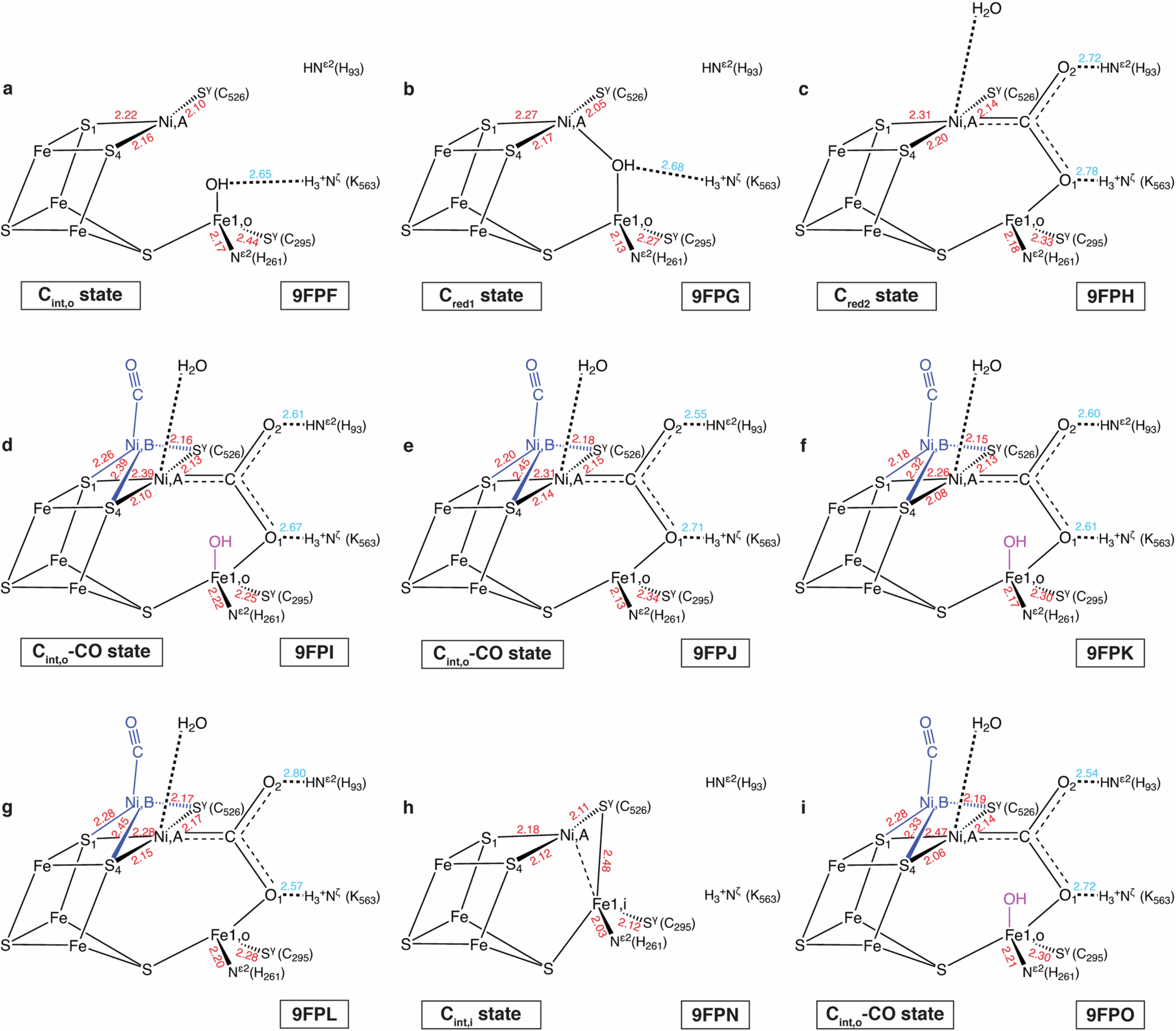 Extended Data Fig. 5