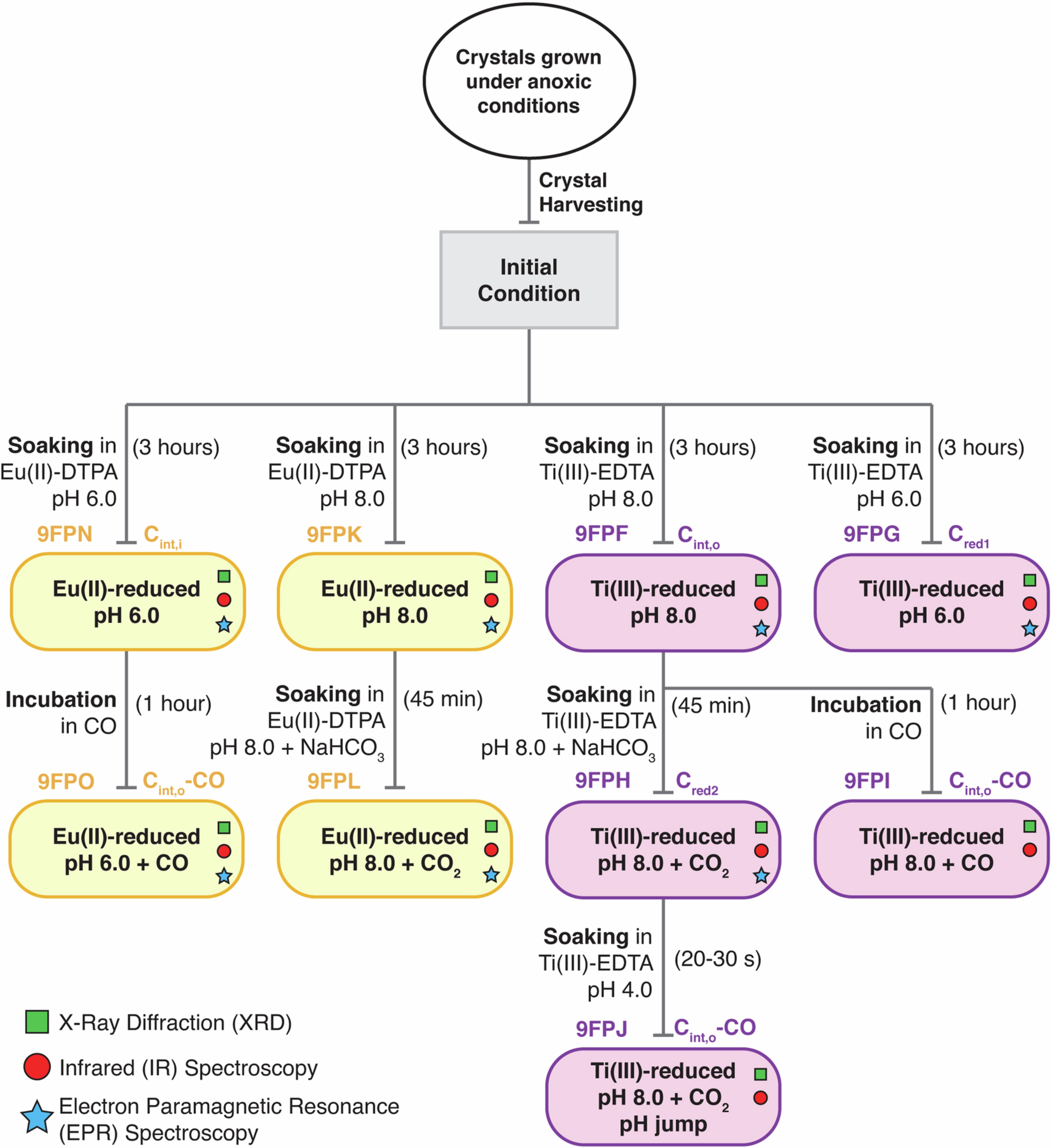 Extended Data Fig. 1