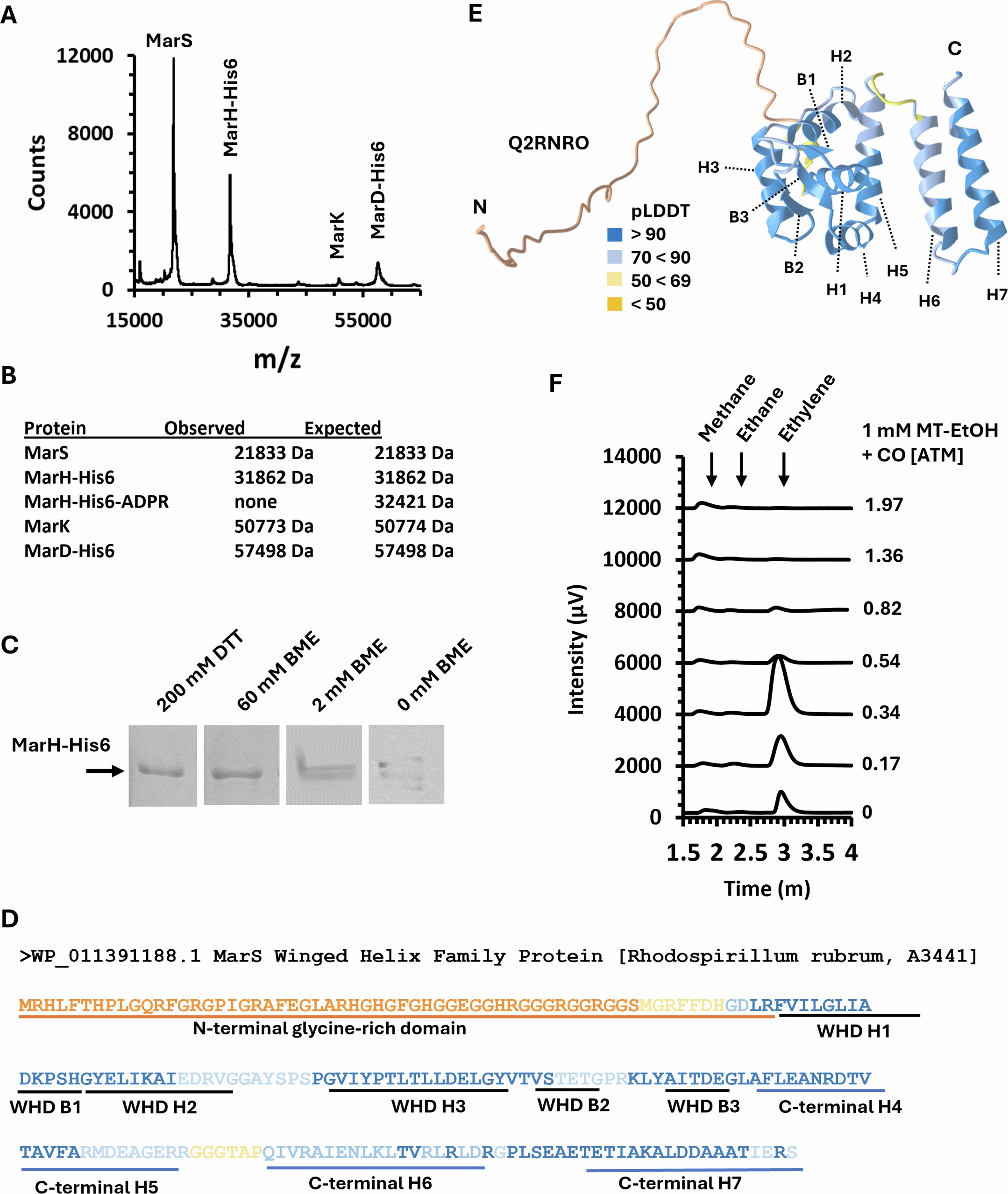 Extended Data Fig. 2: MAR Characterization.