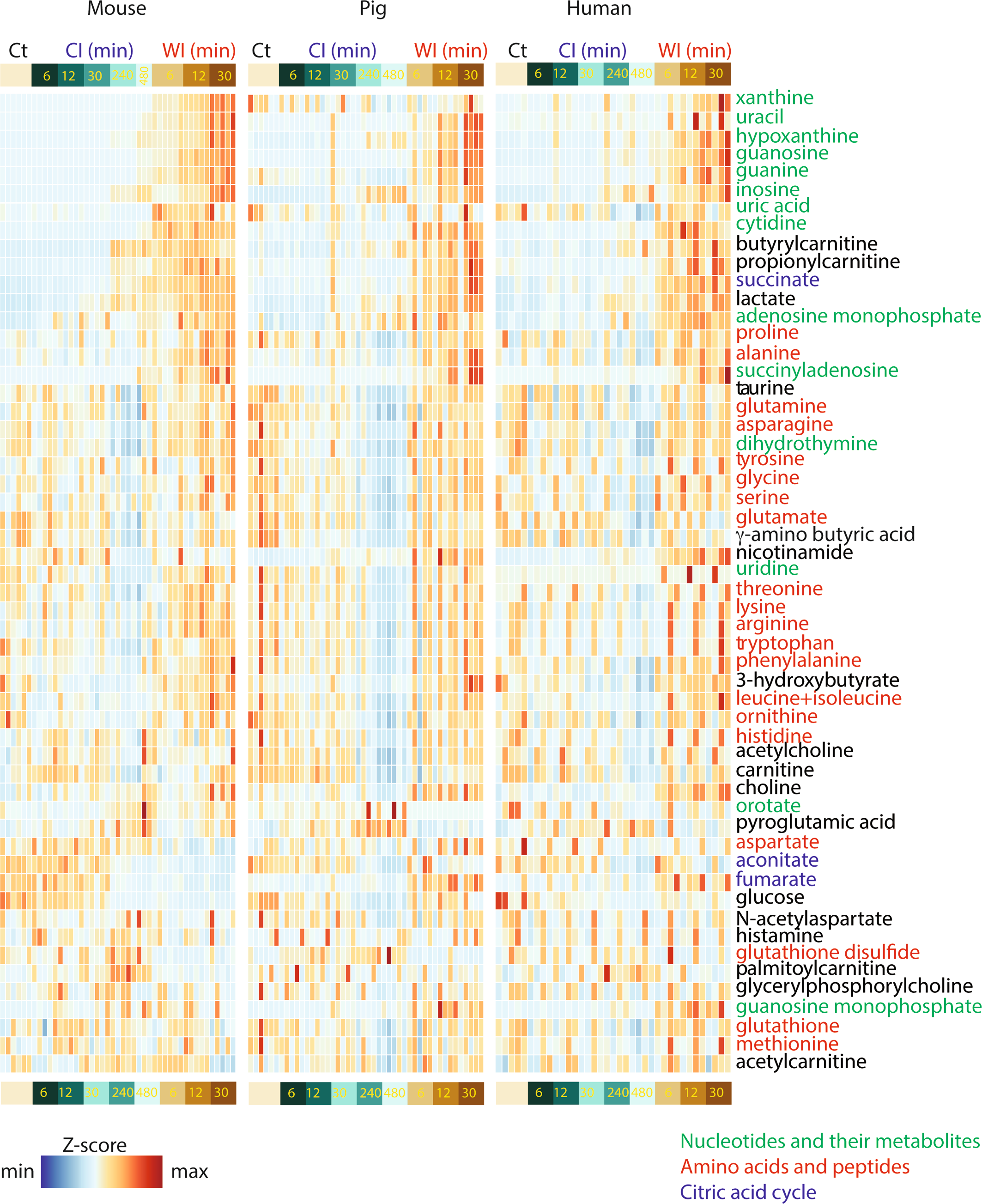 Extended Data Fig. 4: Metabolic changes during WI and CI.
