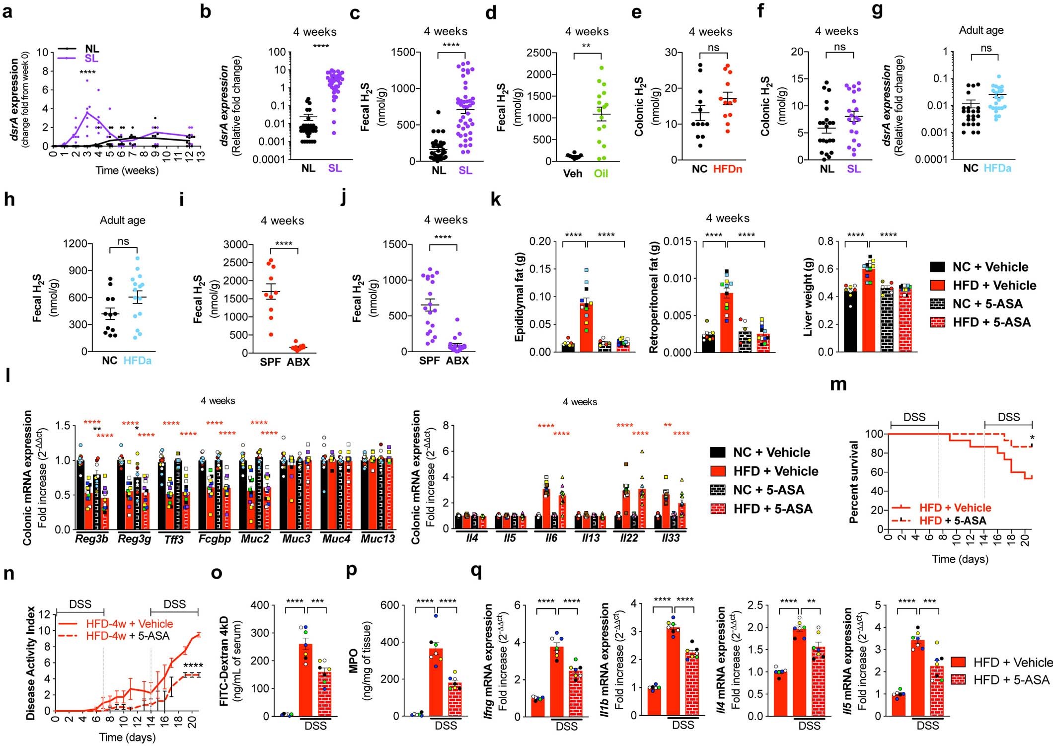 Extended Data Fig. 6: The expression of bacterial dsrA, H2S levels and impact of 5-ASA on colitis susceptibility.