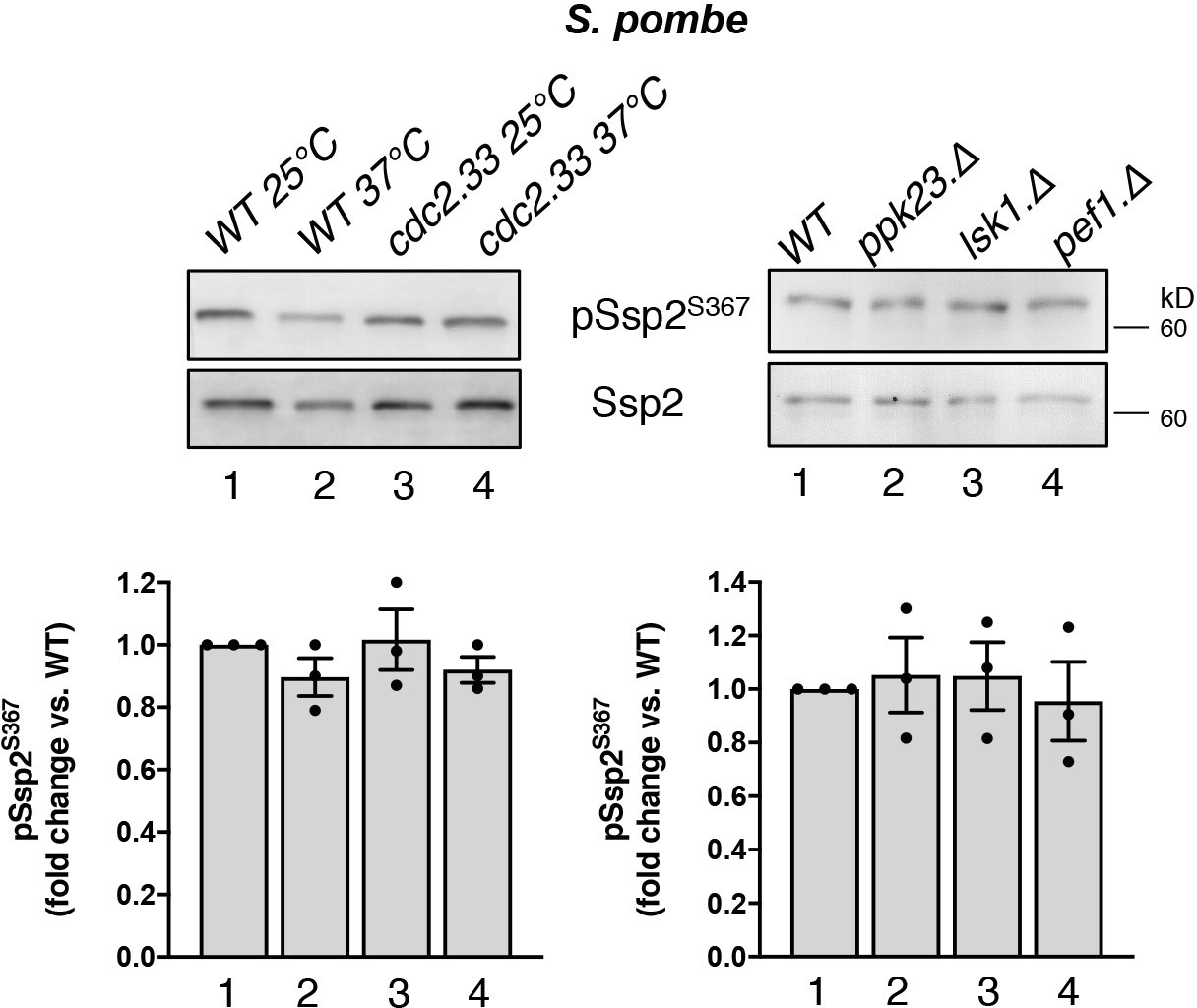 Extended Data Fig. 8