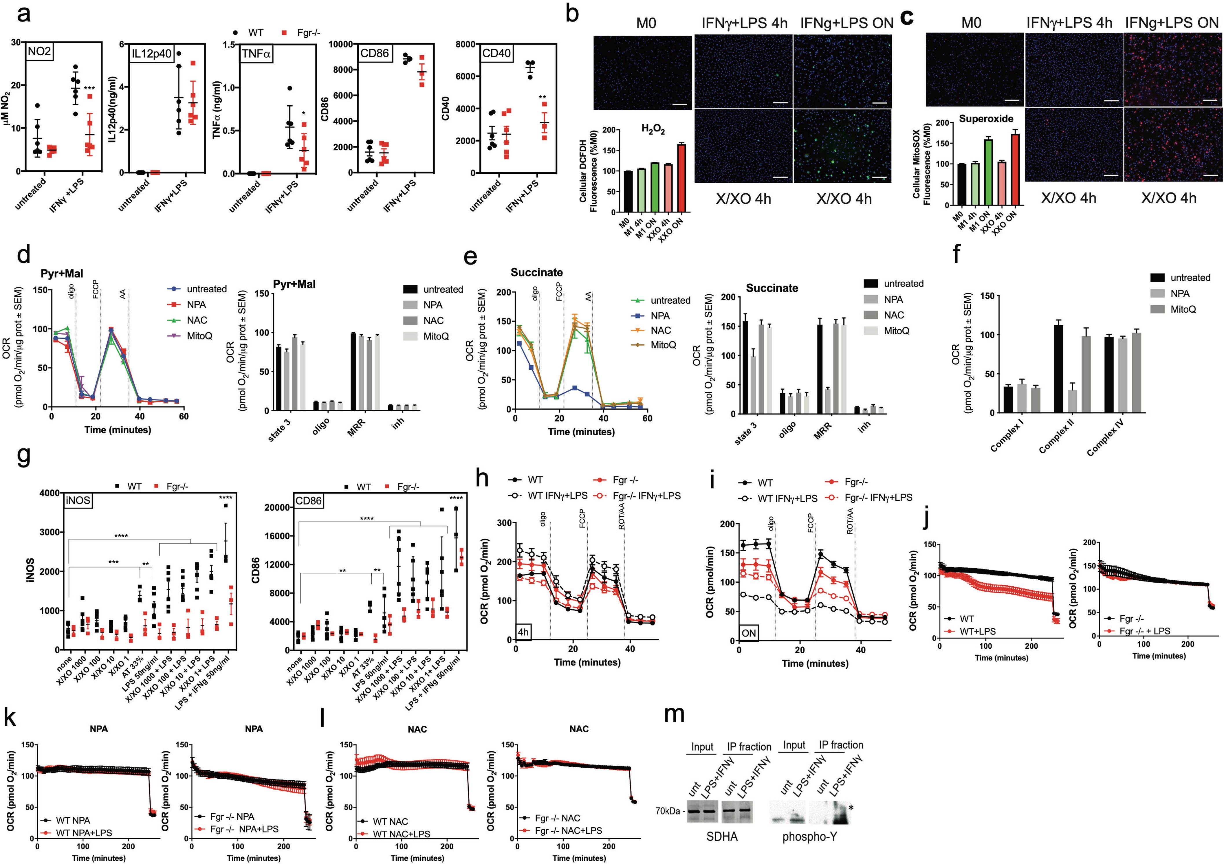 Extended Data Fig. 1