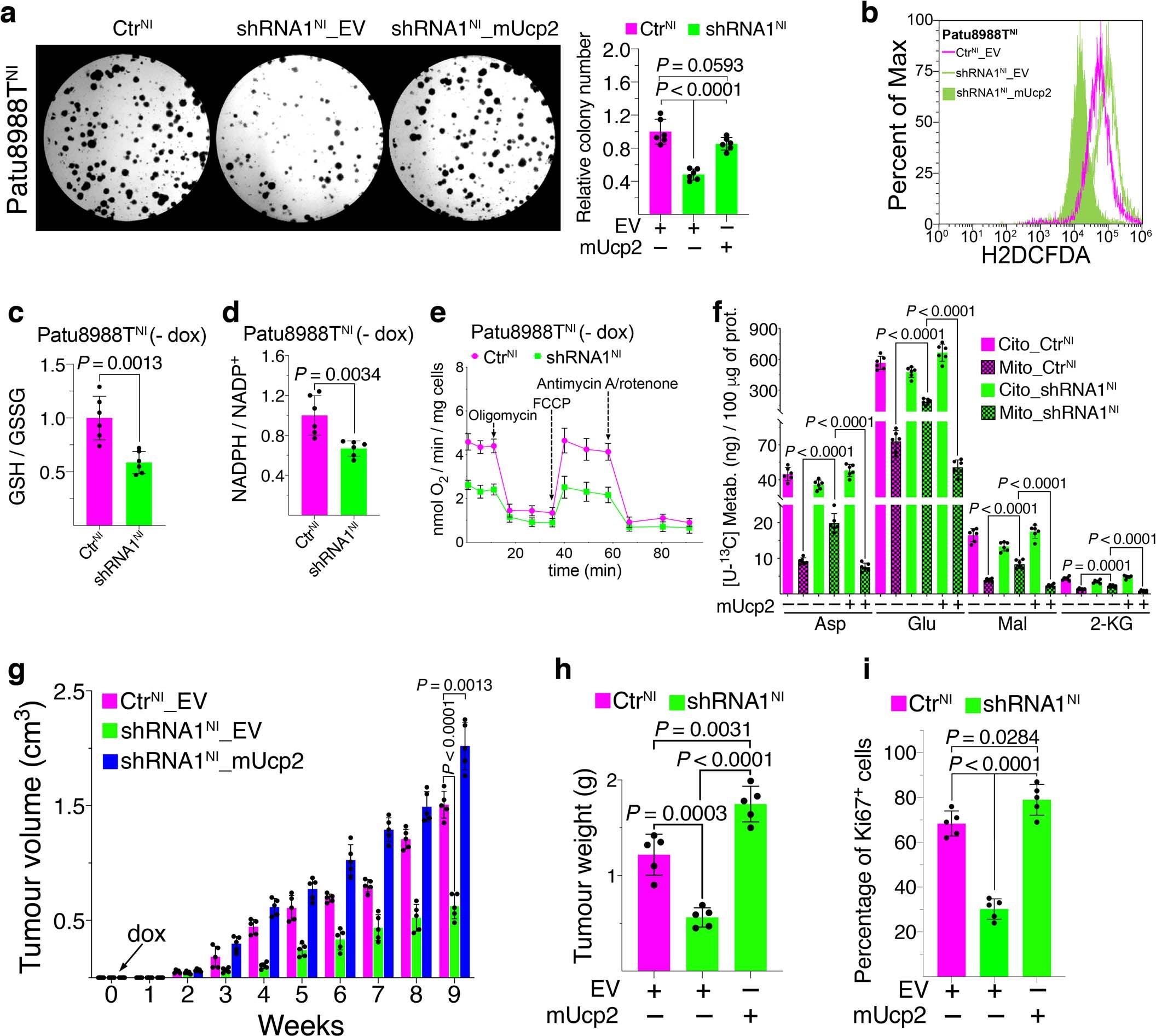 Extended Data Fig. 6