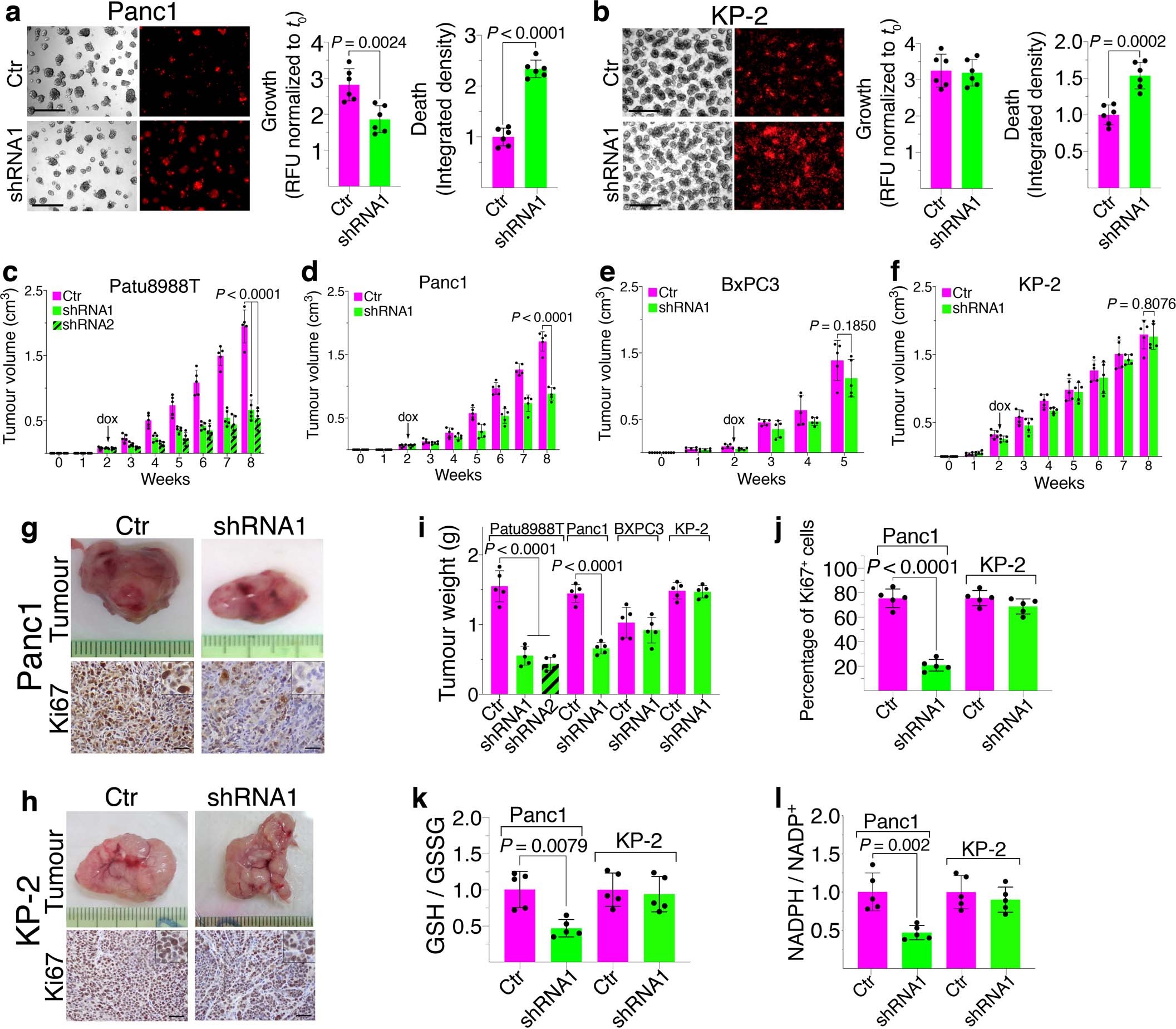 Extended Data Fig. 5