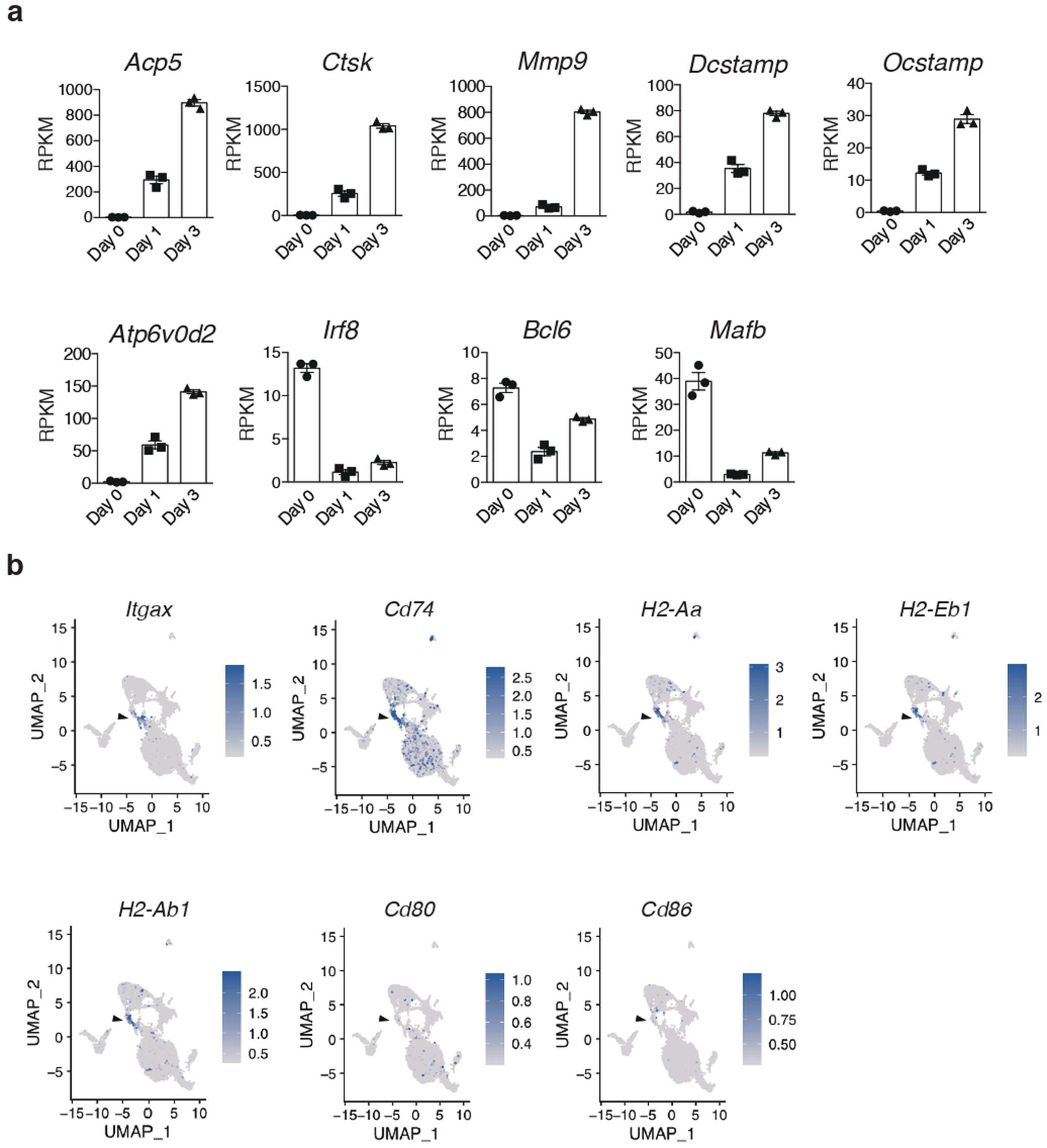 Extended Data Fig. 1