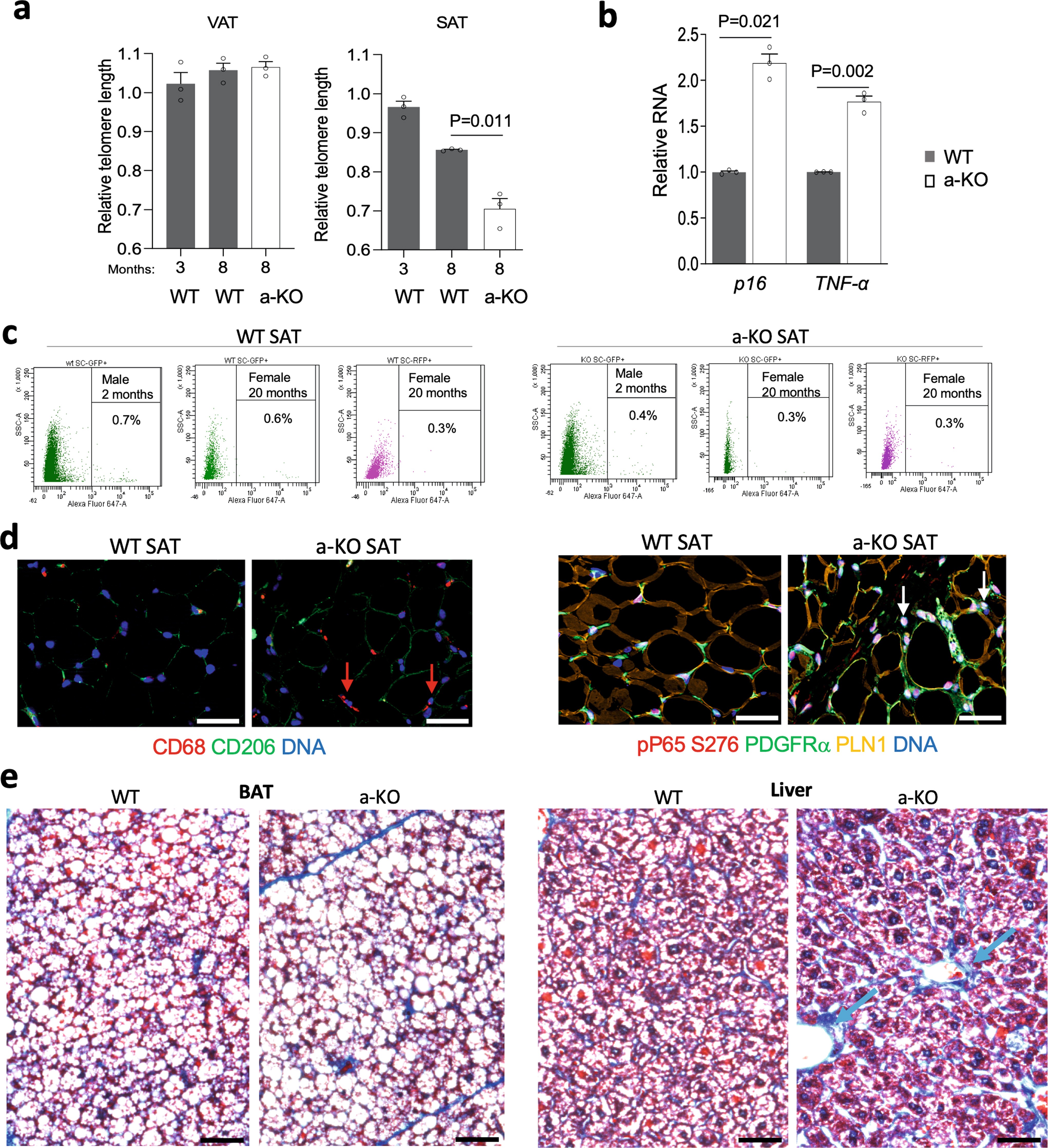 Extended Data Fig. 3