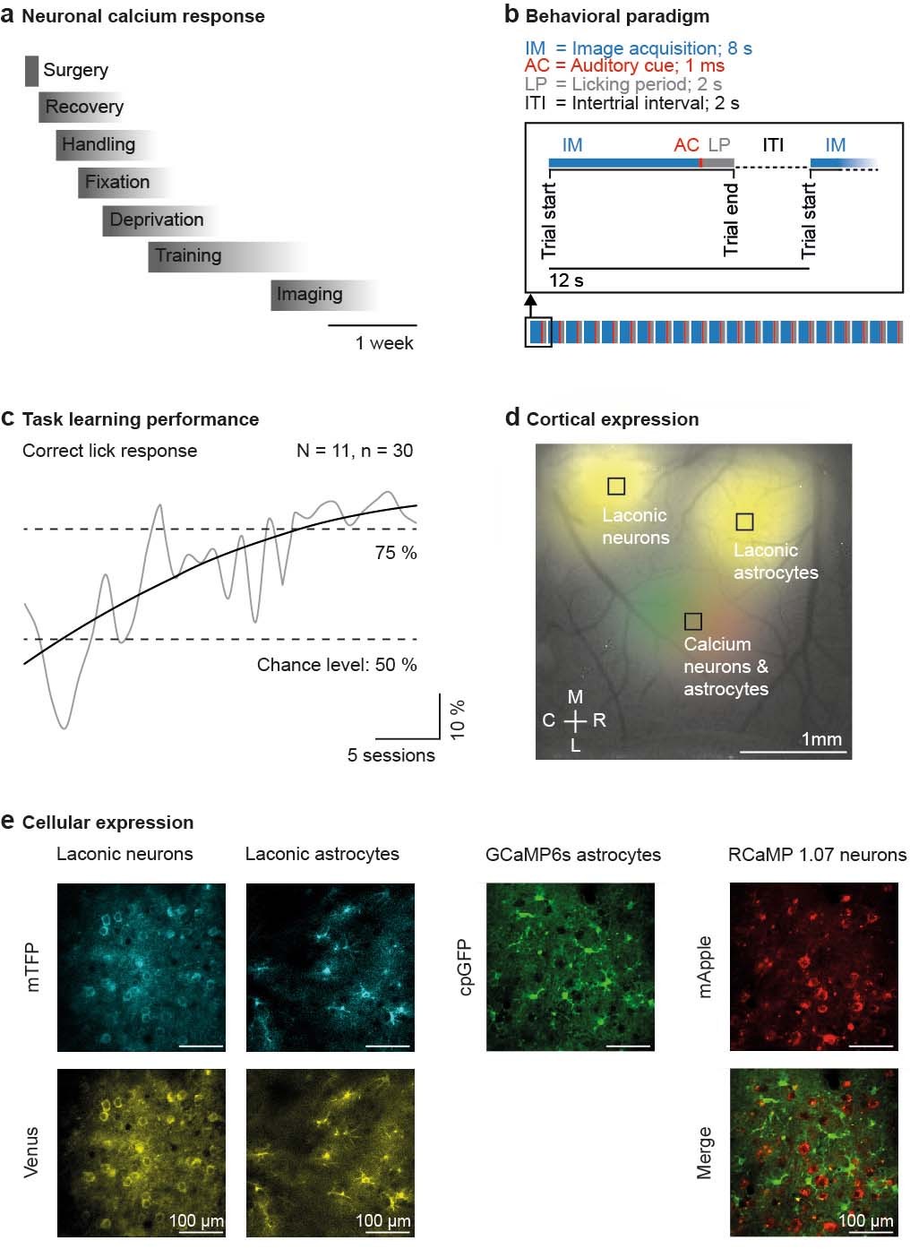 Extended Data Fig. 1