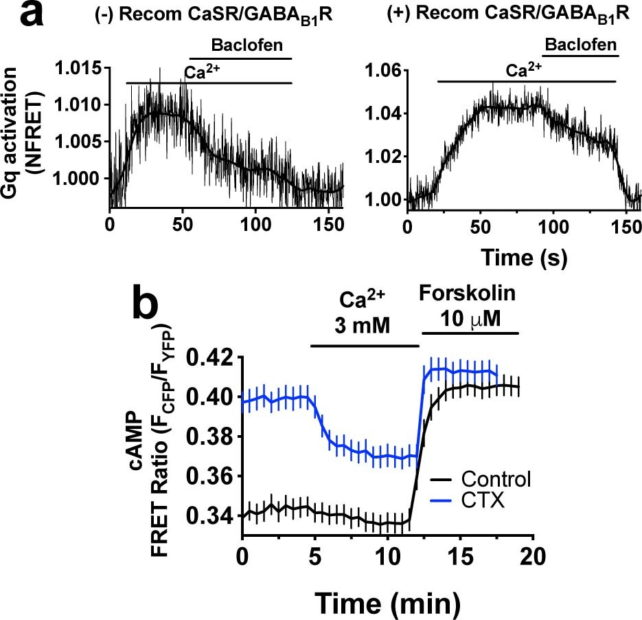 Extended Data Fig. 5