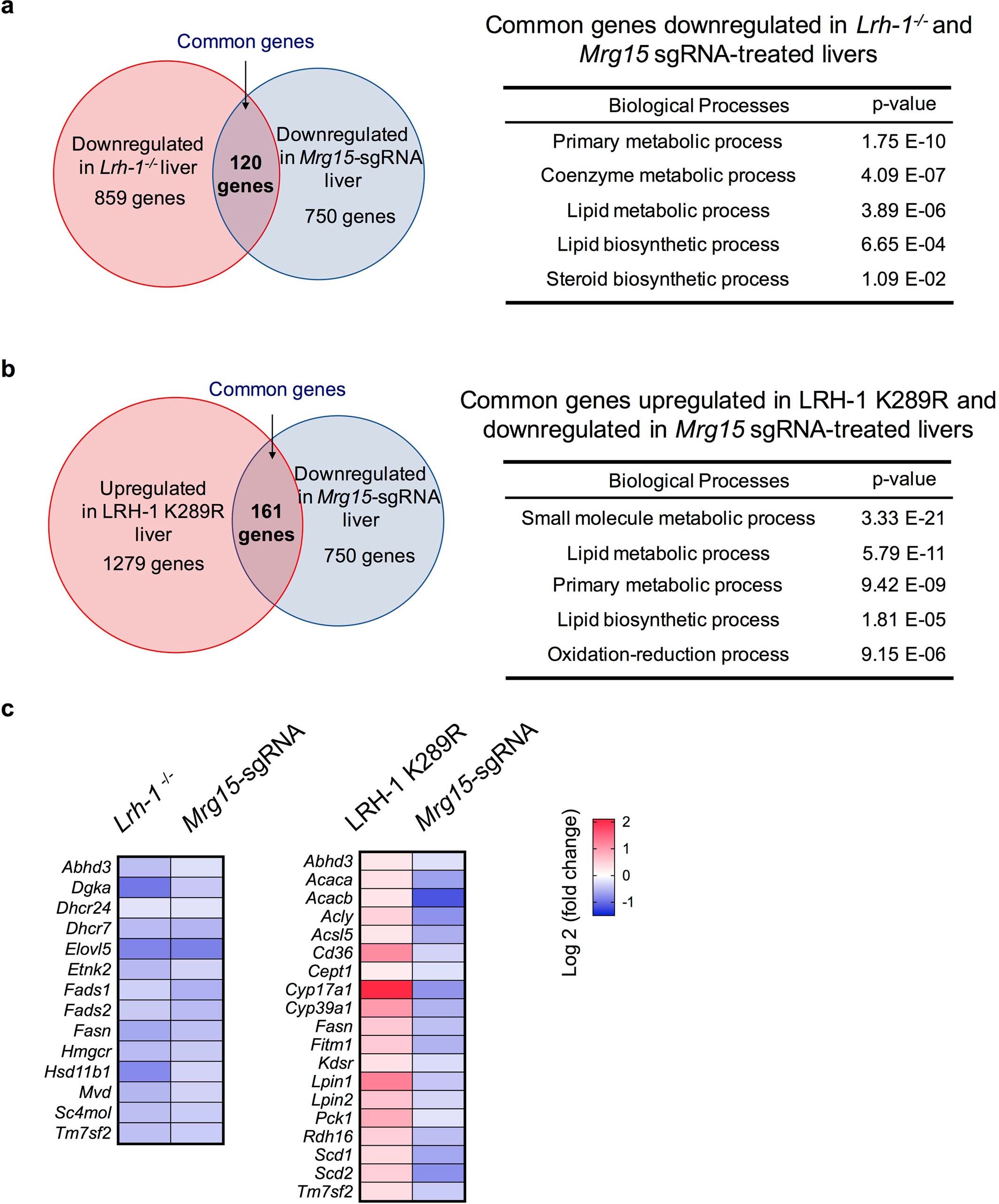 Extended Data Fig. 6