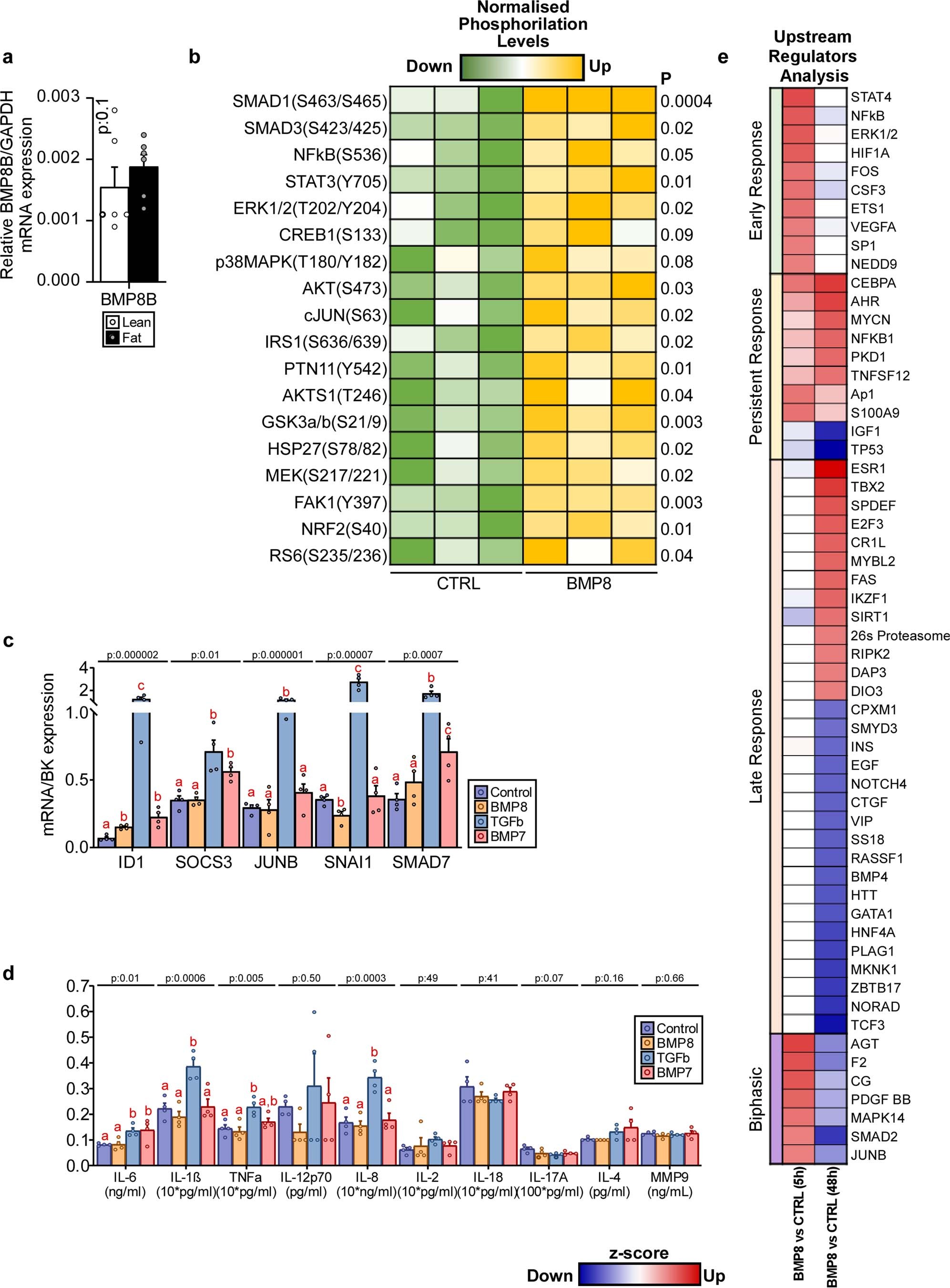 Extended Data Fig. 5
