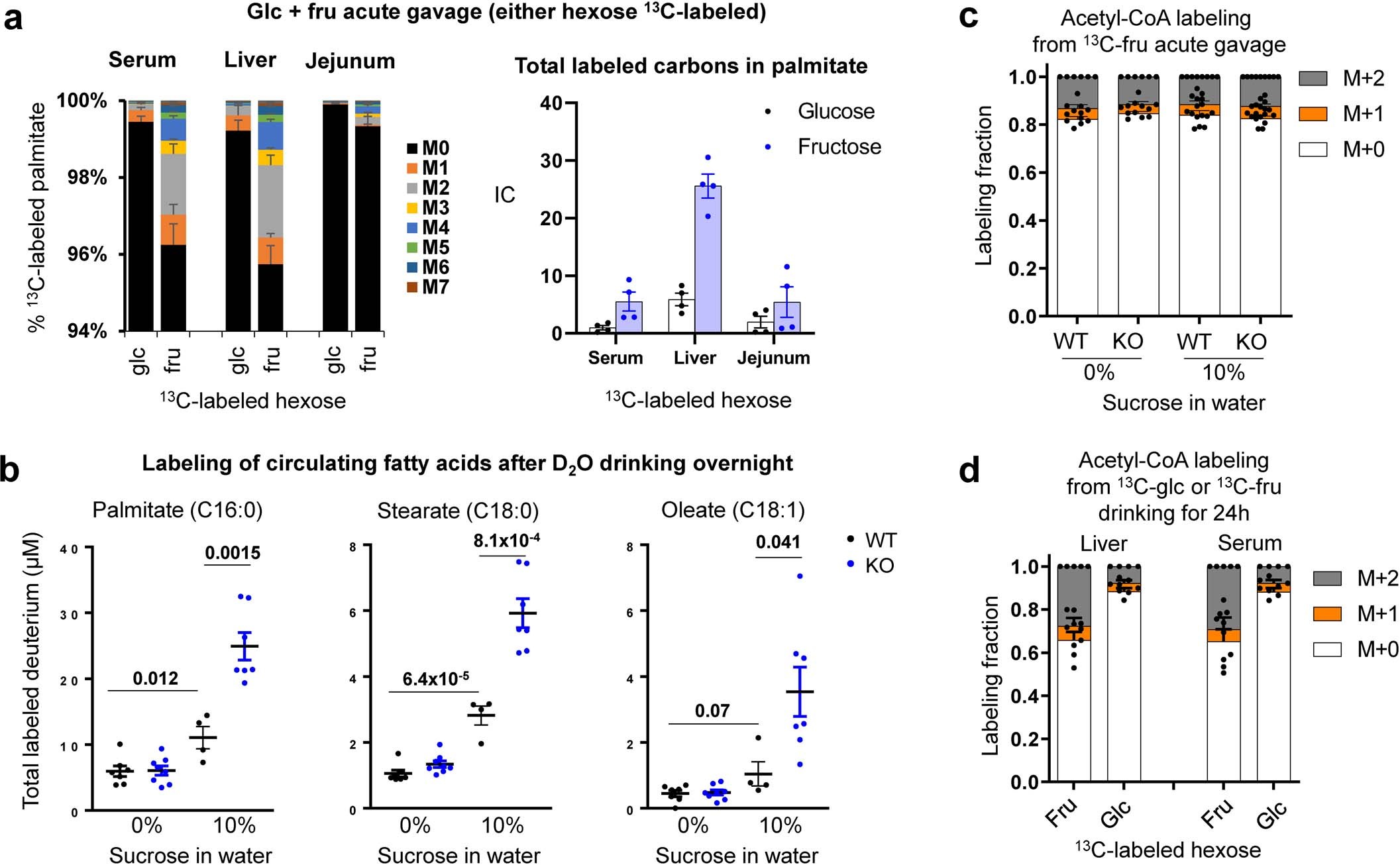 Extended Data Fig. 3: Intestine-specific Khk-C ablation increases hepatic lipogenesis.