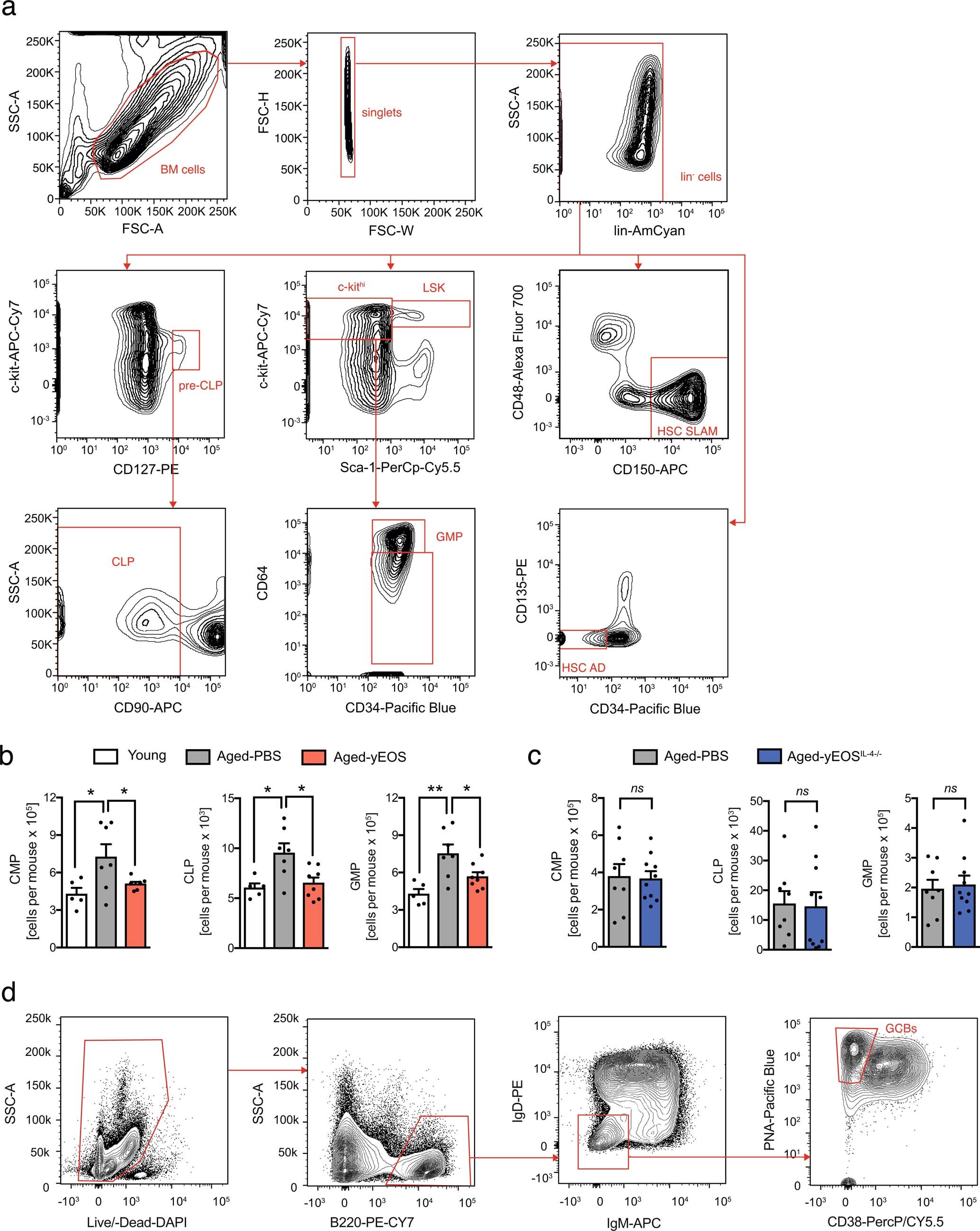 Extended Data Fig. 9: Eosinophil transfers reverse myeloid skewing in old age.