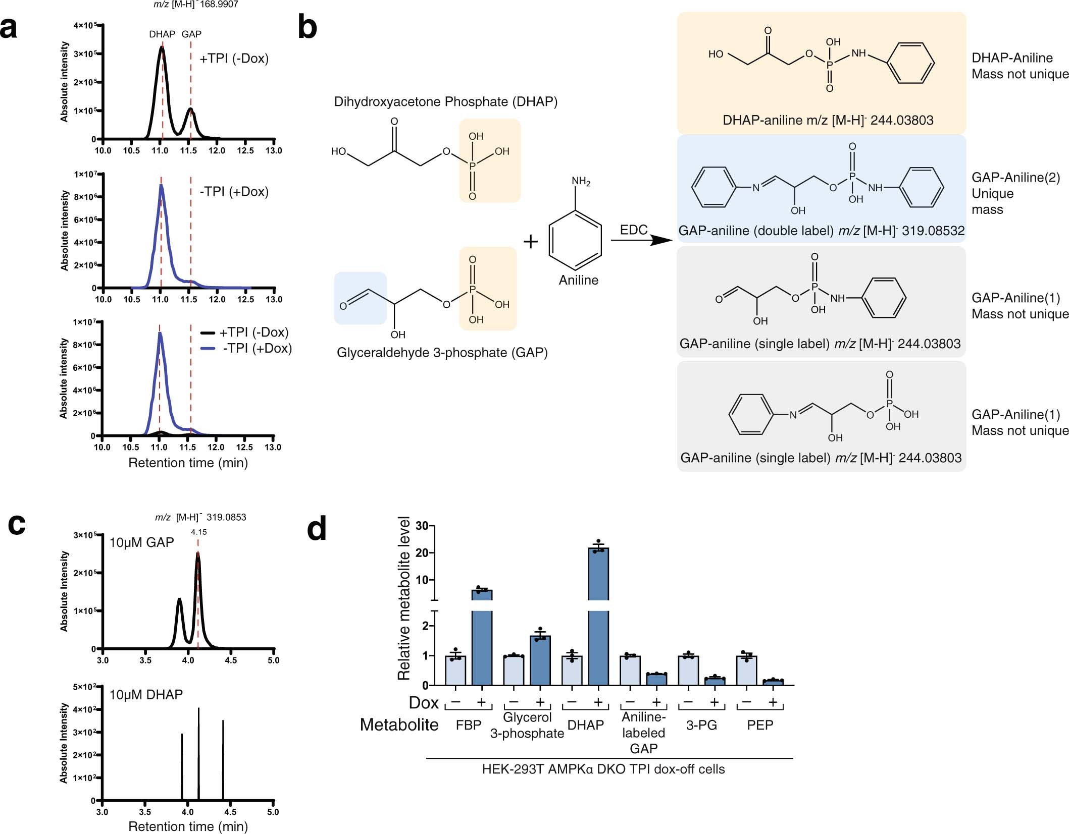 Extended Data Fig. 3: GAP can be measured as its aniline adduct as it has a unique mass.