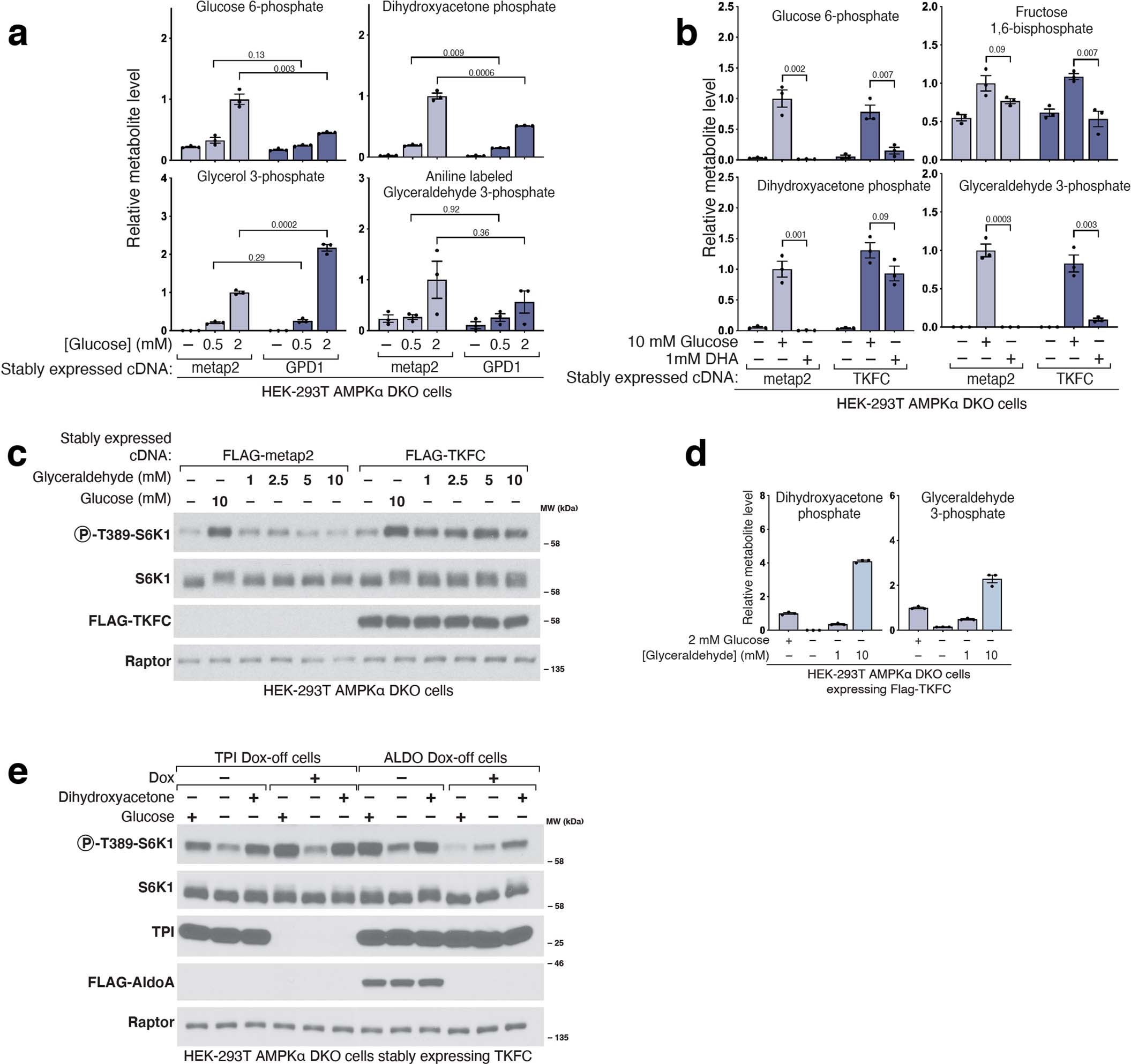 Extended Data Fig. 5: DHAP plays a key role in the activation of mTORC1 by glucose.