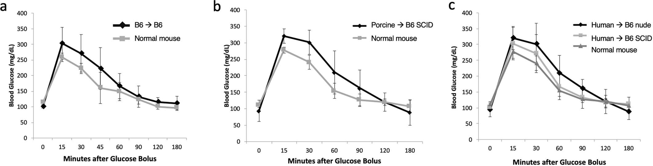 Extended Data Fig. 3: Intraperitoneal glucose tolerance test (GTT) in non-diabetic, normal/healthy mice, compared with immunoincompetent mice with long term survival (>6 months) with subcutaneous islet-IVM grafts.