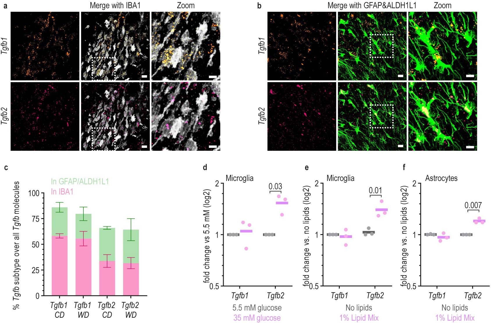 Extended Data Fig. 6: Distribution of TGFβ particles in the demyelinated lesion.