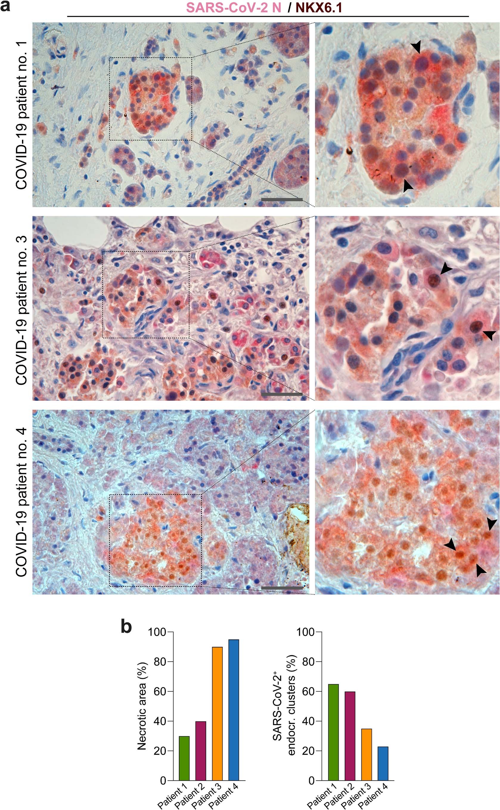 Extended Data Fig. 10