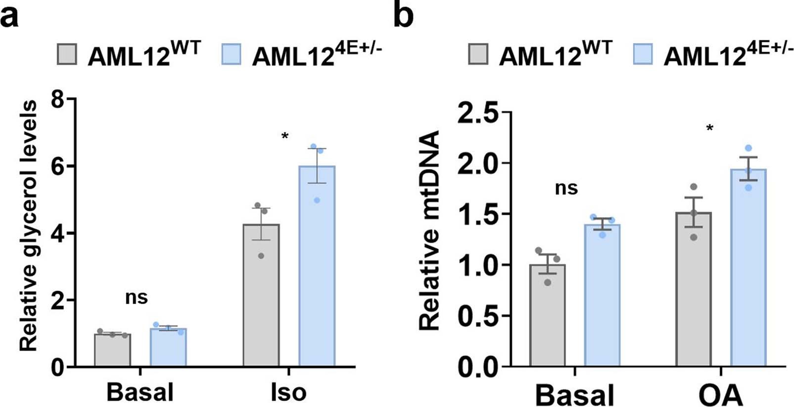 Extended Data Fig. 7: A decrease in eIF4E dose increases lipolysis and mitochondria numbers.