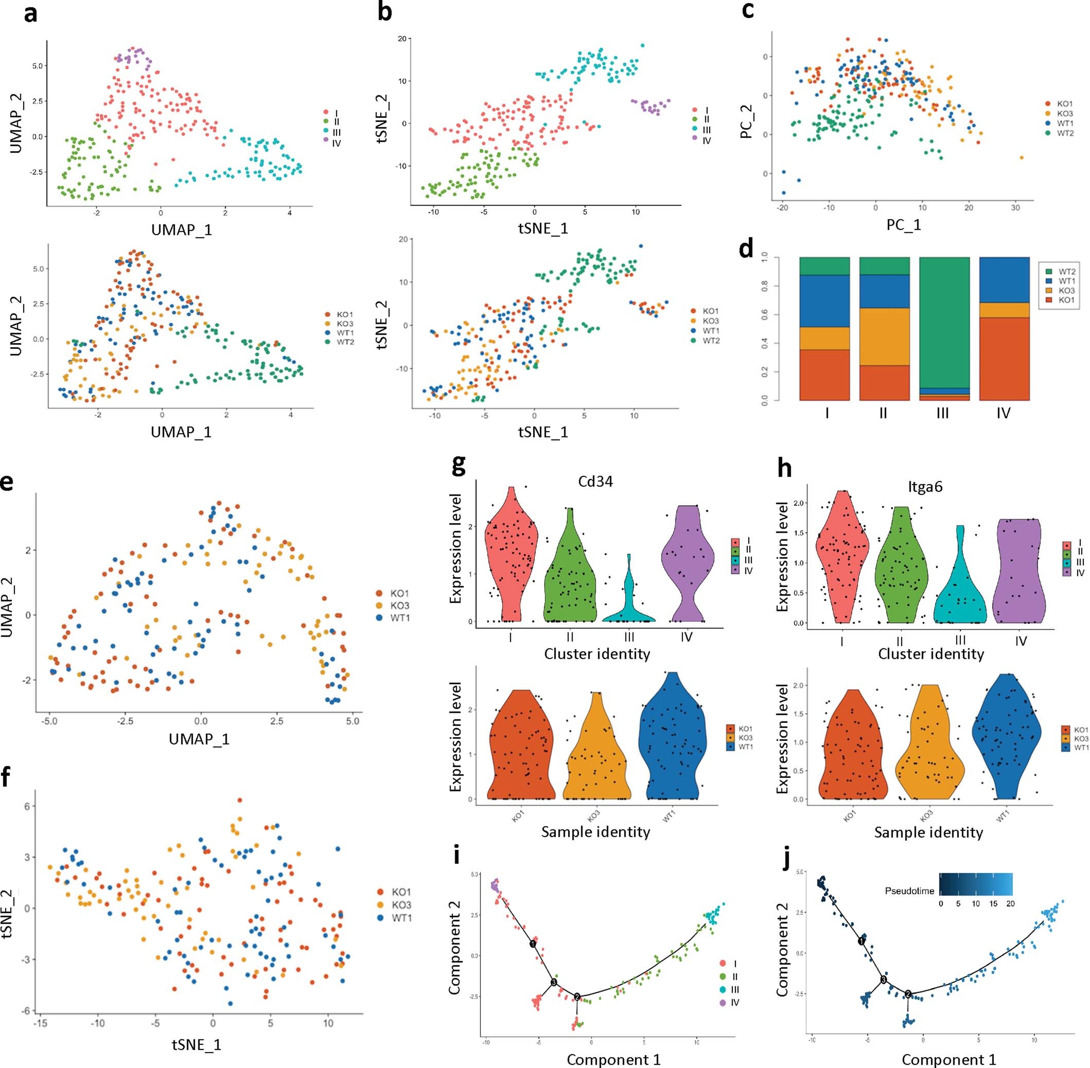 Extended Data Fig. 9: Single cell RNA-seq analysis of TPCs from 2 WT and 2 KO tumors.