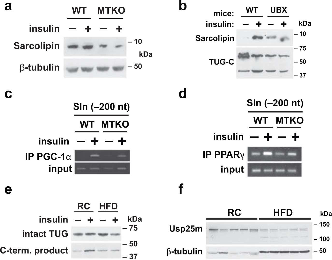 Extended Data Fig. 9
