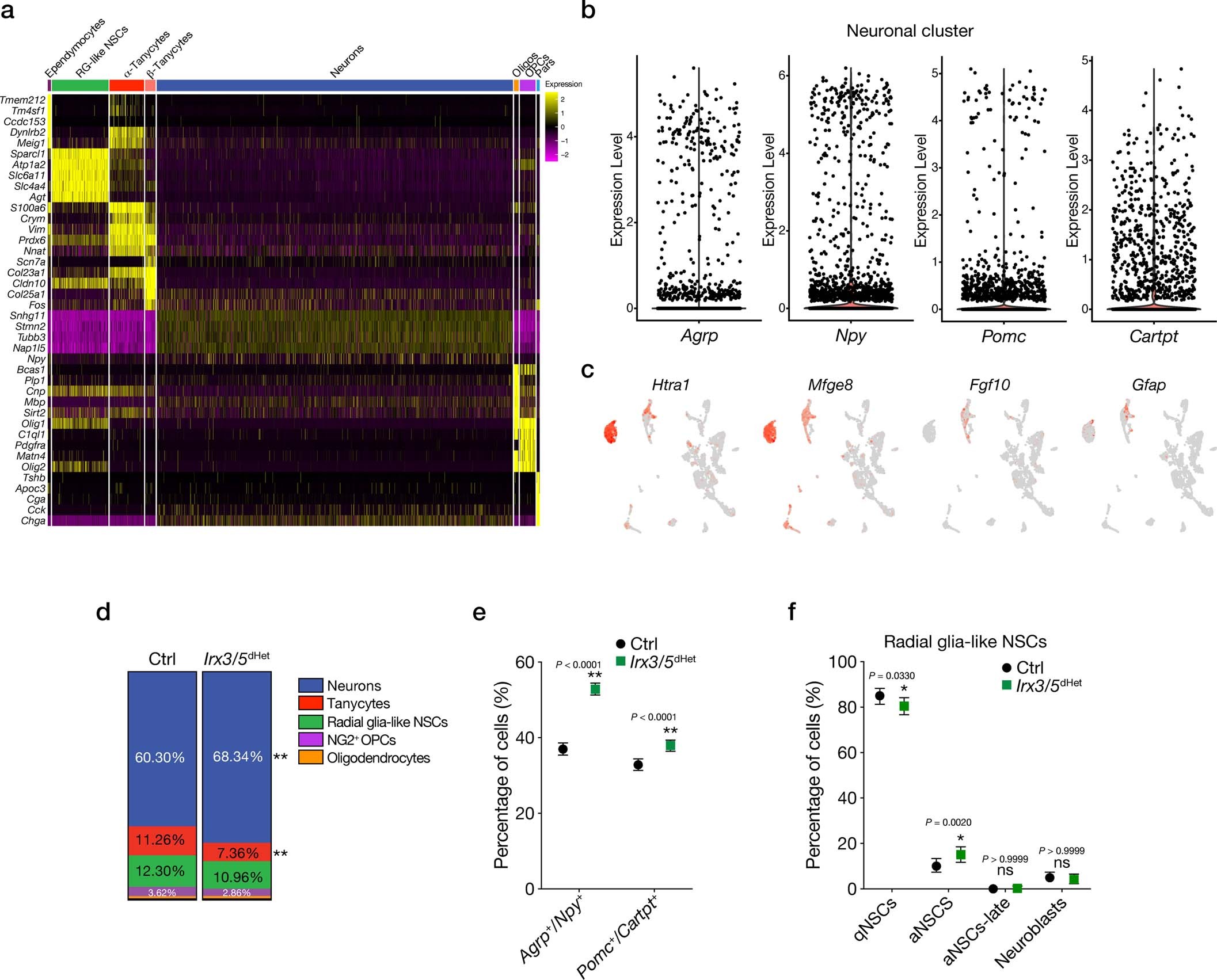 Extended Data Fig. 6: scRNA-Seq analysis of Ins2-Cre;Ai14 tdTomato+ ARC-ME cells at P10.