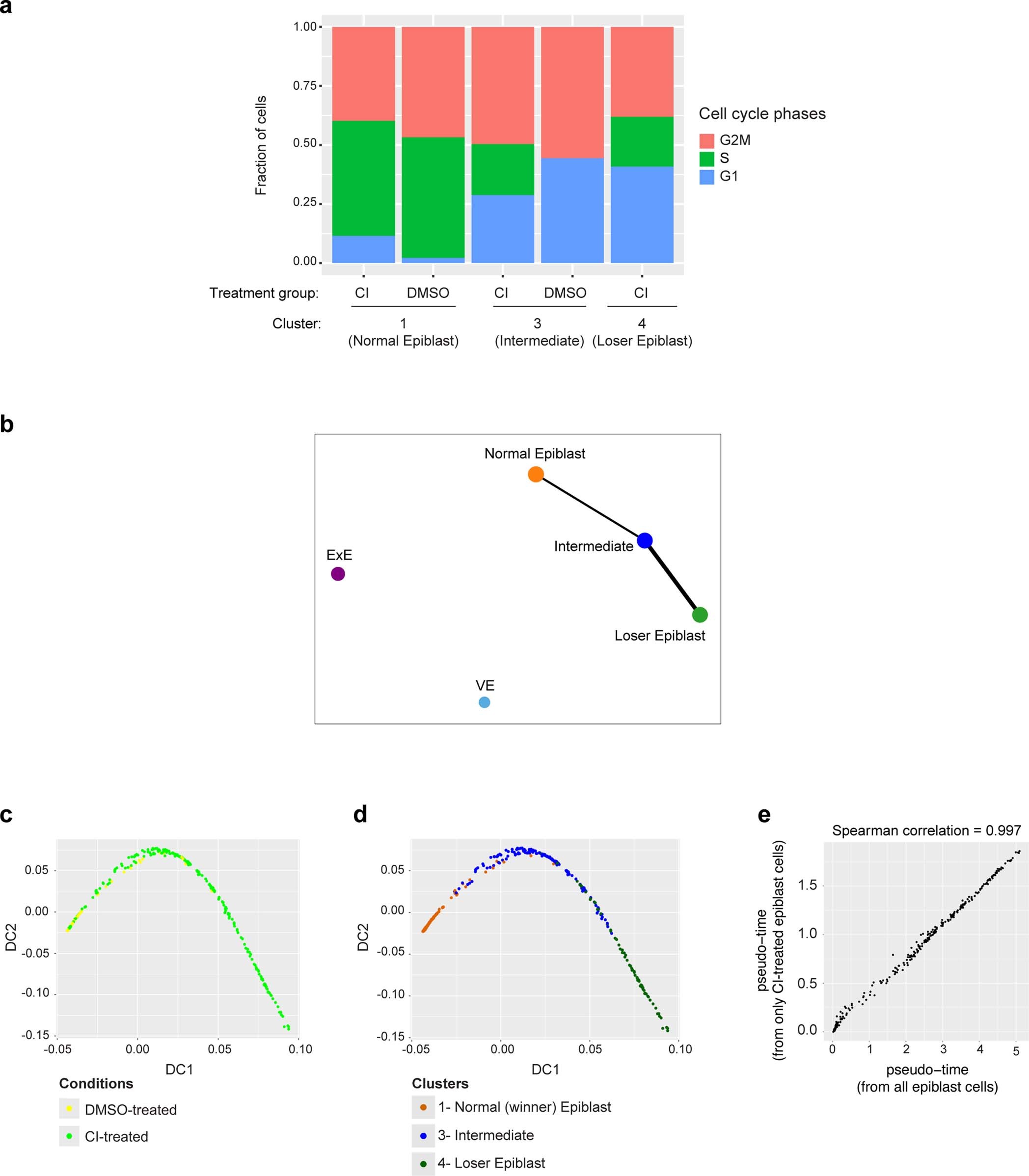 Extended Data Fig. 2: Cell cycle analysis and cluster connectivity.
