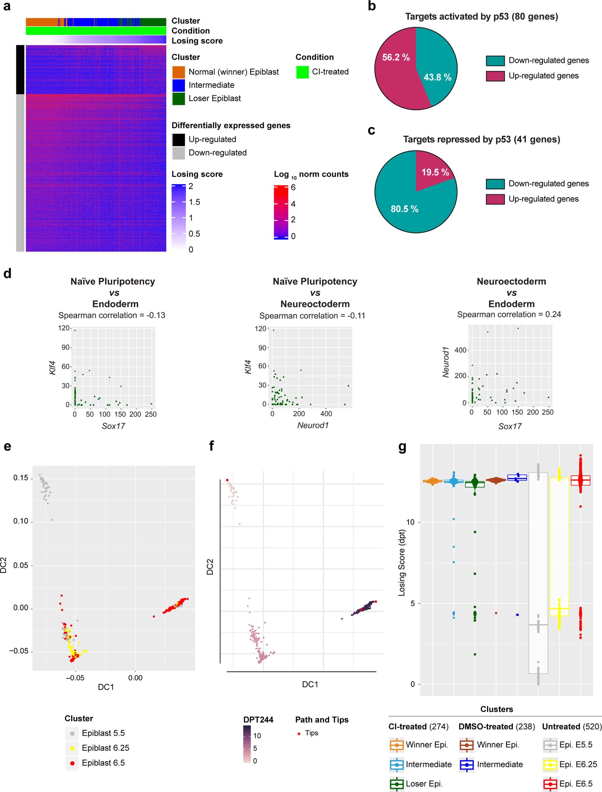 Extended Data Fig. 3: Analysis on epiblast cells from DMSO and CI-treated embryos.
