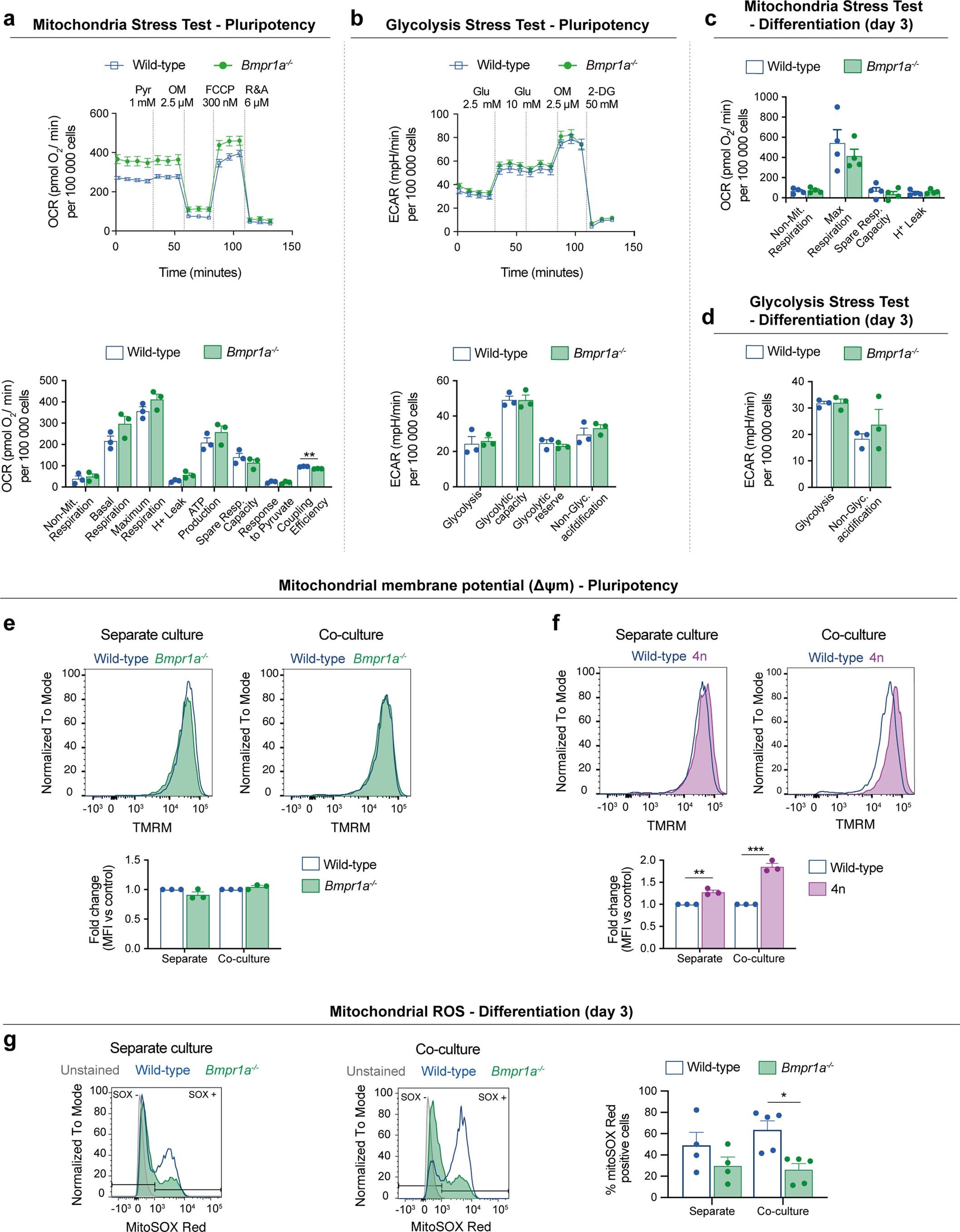 Extended Data Fig. 5: Mitochondrial function in wild-type, Bmpr1a−/− and 4n mESCs.