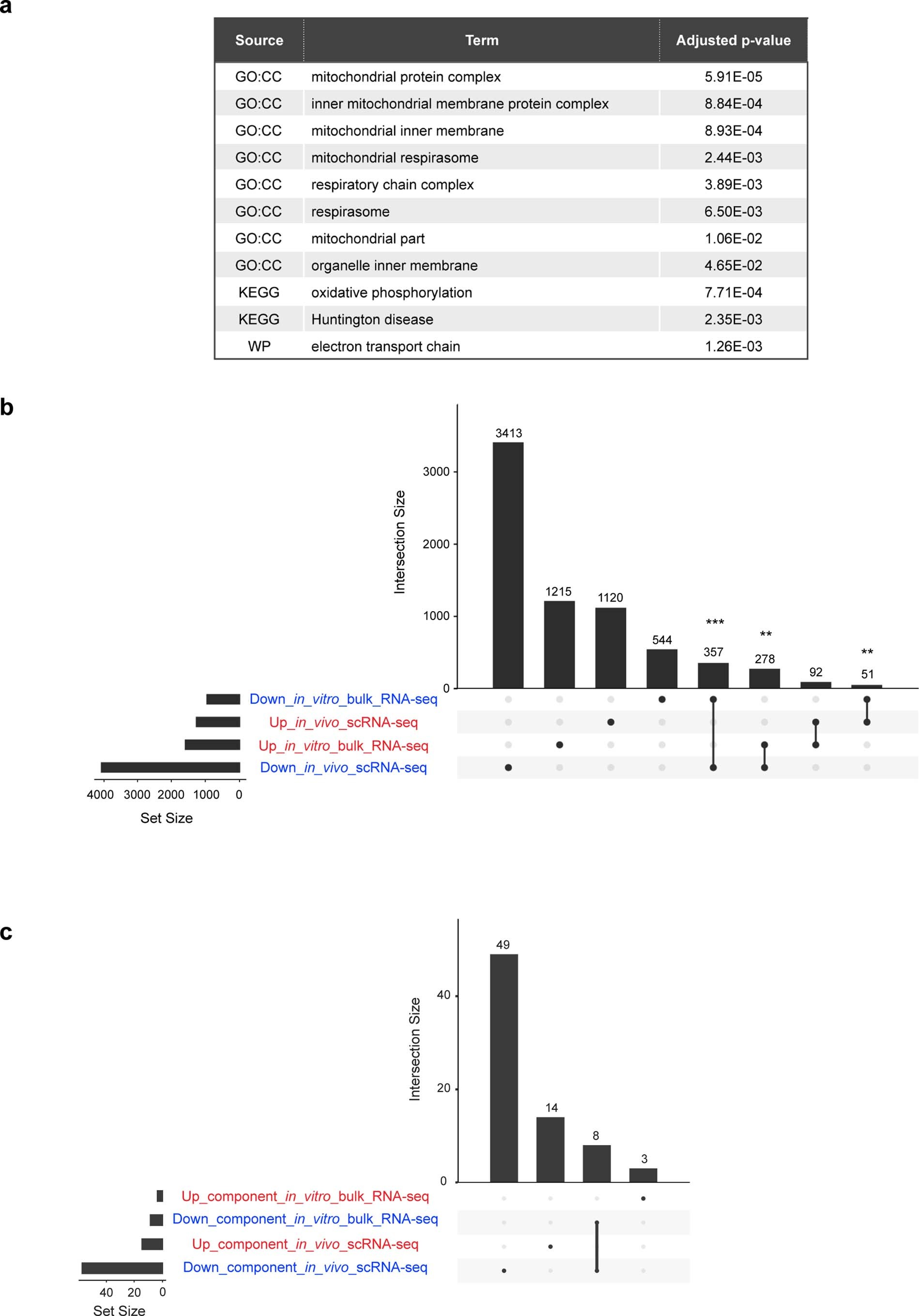 Extended Data Fig. 10: Common features of scRNA-seq and bulk RNA-seq datasets.