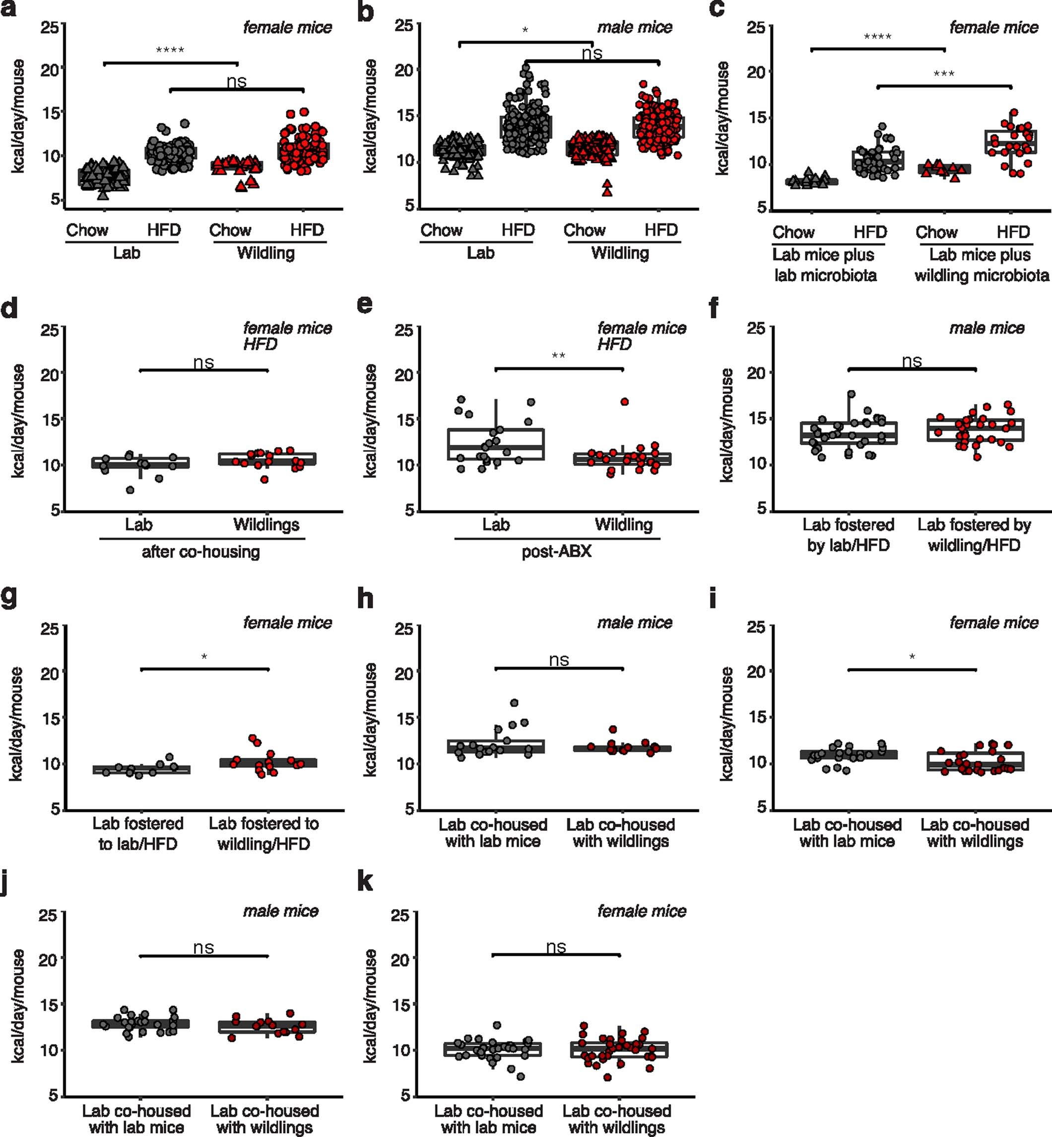 Extended Data Fig. 2: Food consumption of wildling and lab mice on chow and HFD.