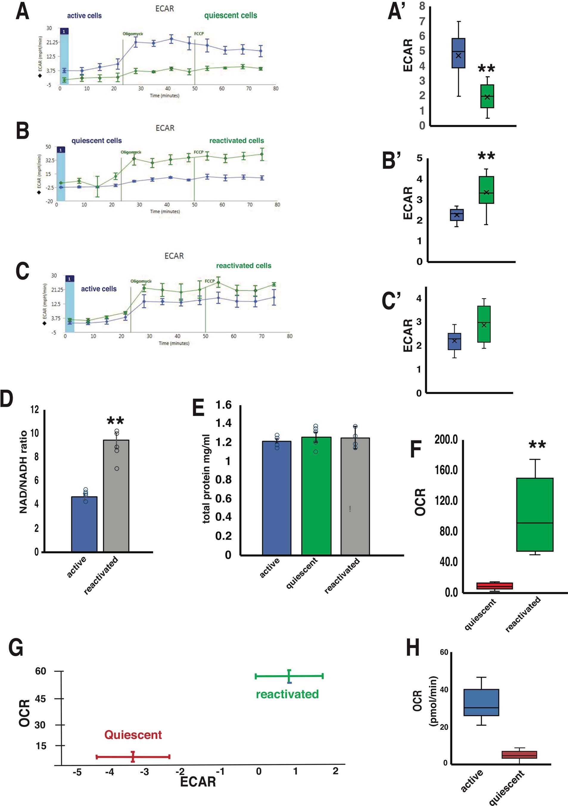 Extended Data Fig. 8