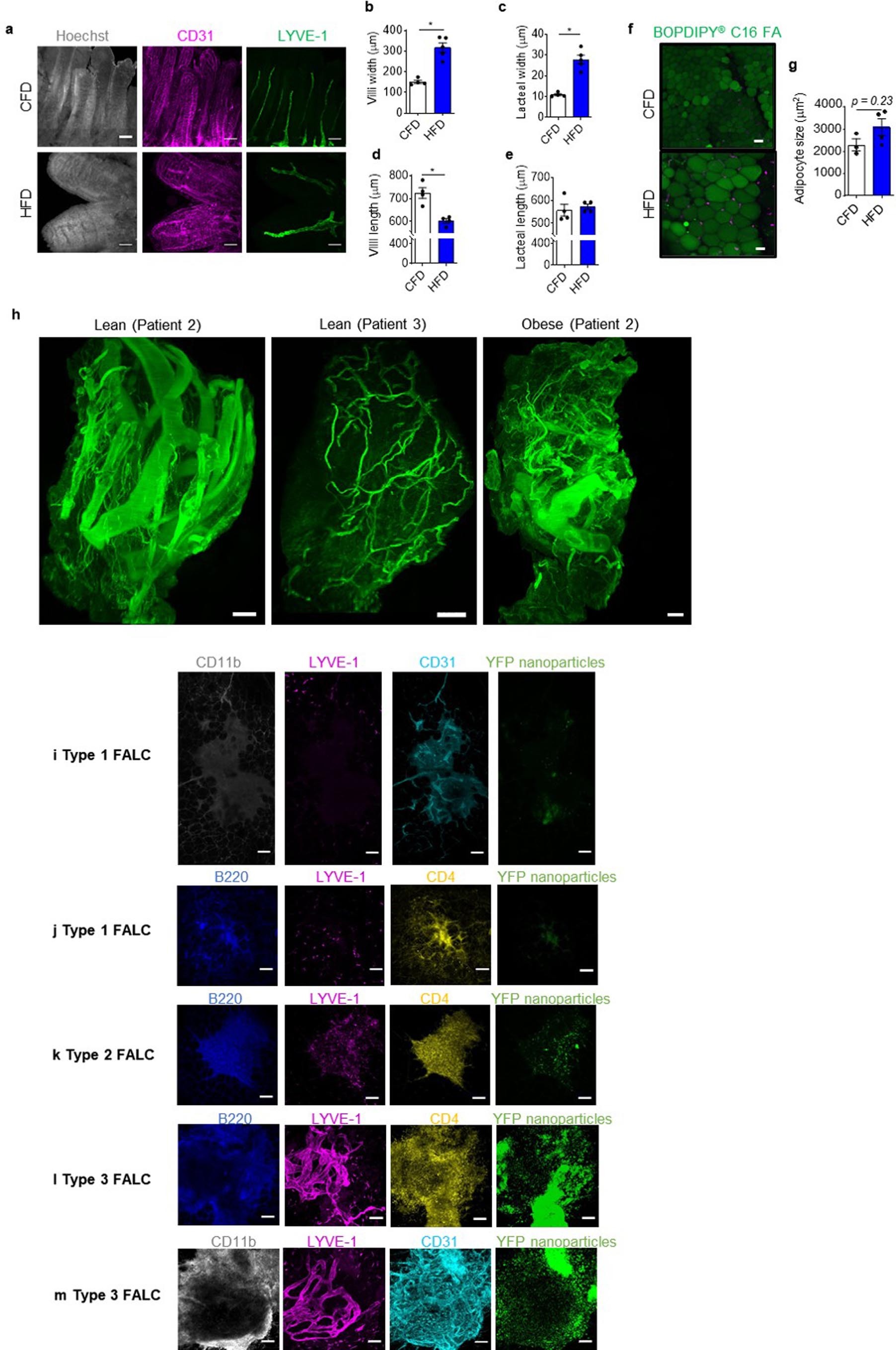 Extended Data Fig. 1