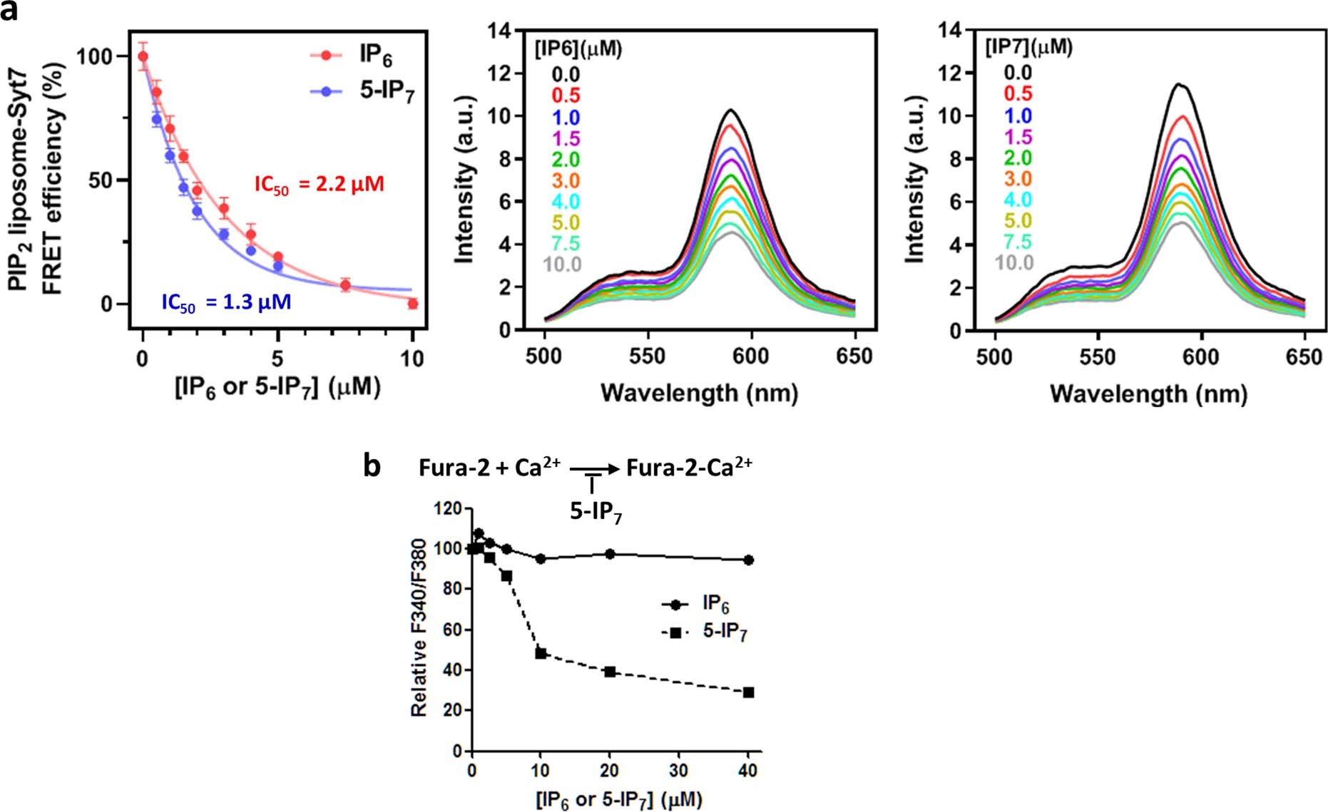 Extended Data Fig. 10: 5-IP7 clamps Syt7 in a Ca2+-releasable manner to regulate Syt7-PIP2 interaction.