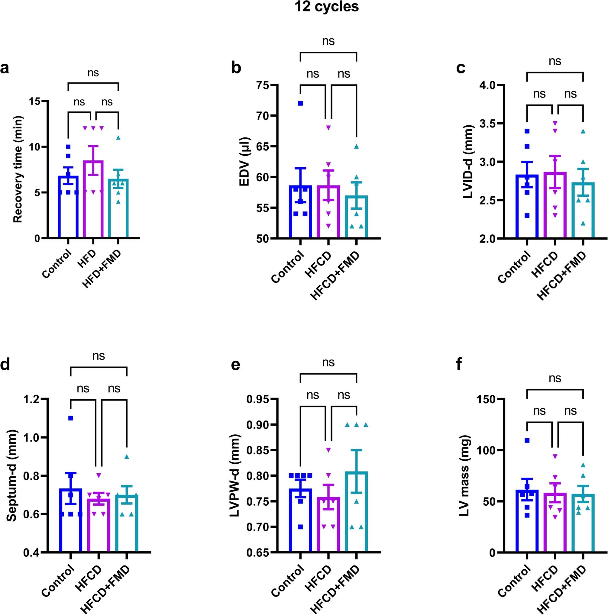 Extended Data Fig. 4: Stress-echocardiography analysis during the 12th cycle of FMD.