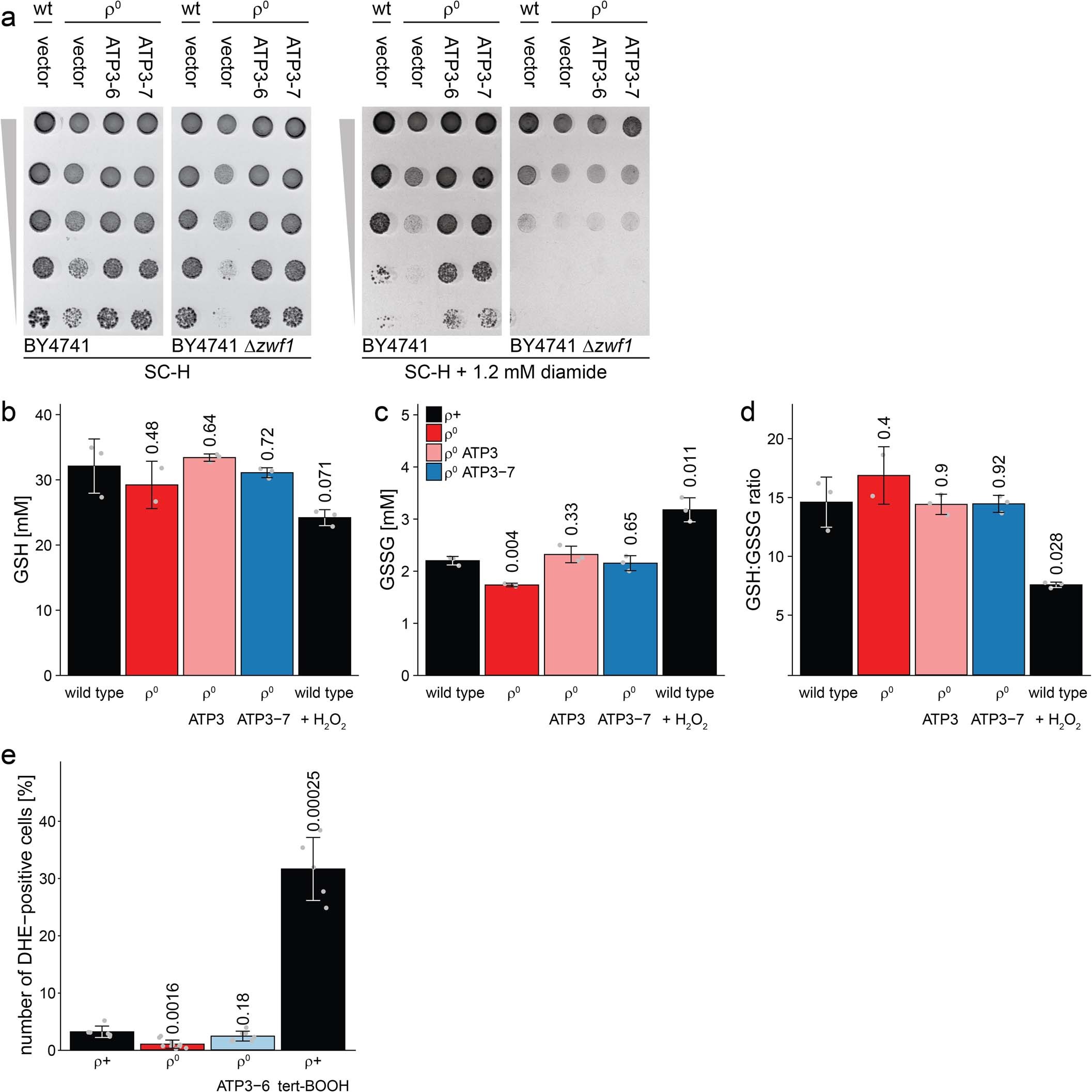 Extended Data Fig. 2